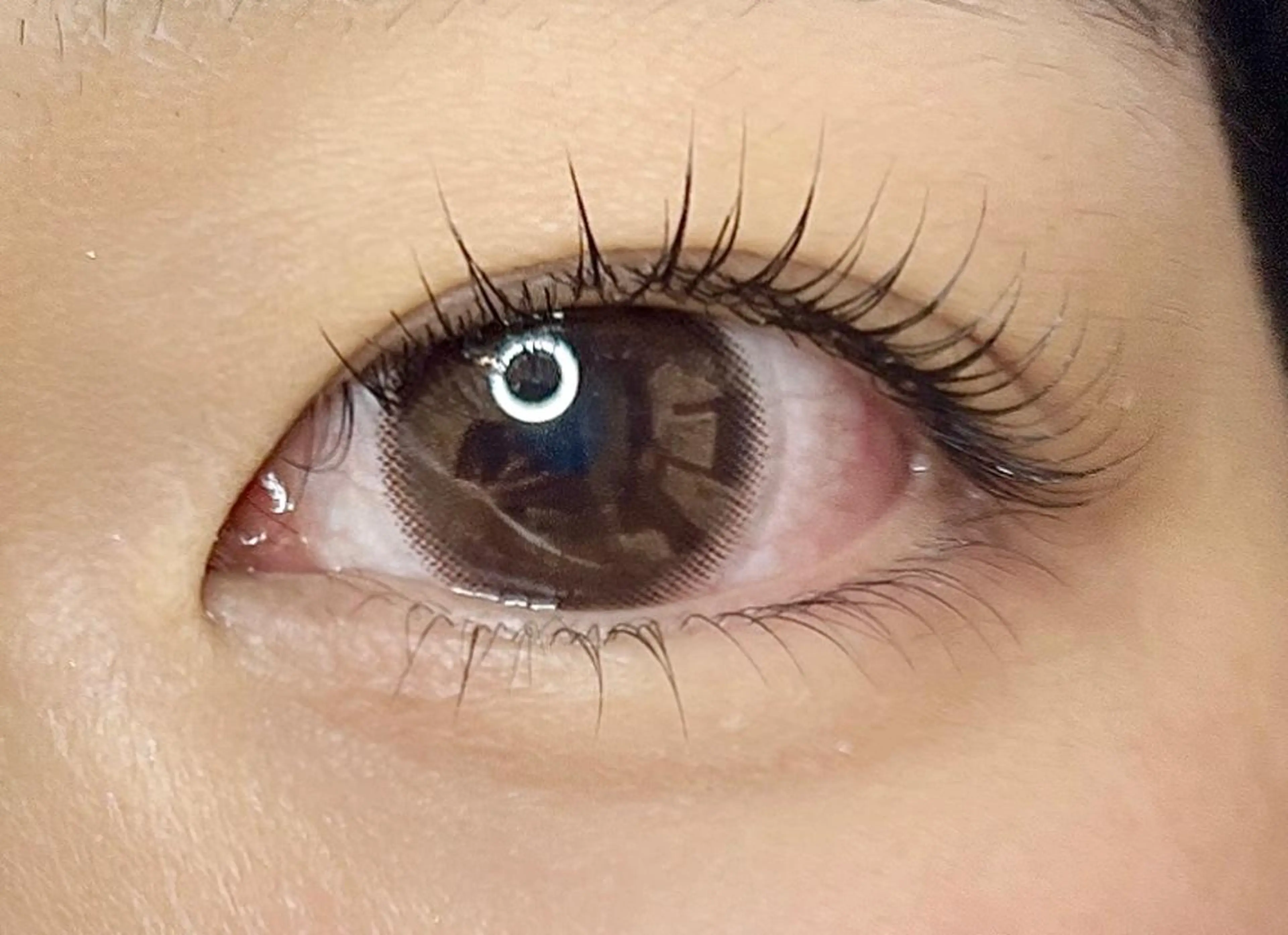 【コーティング付ꕤ】上下まつ毛パーマの写真