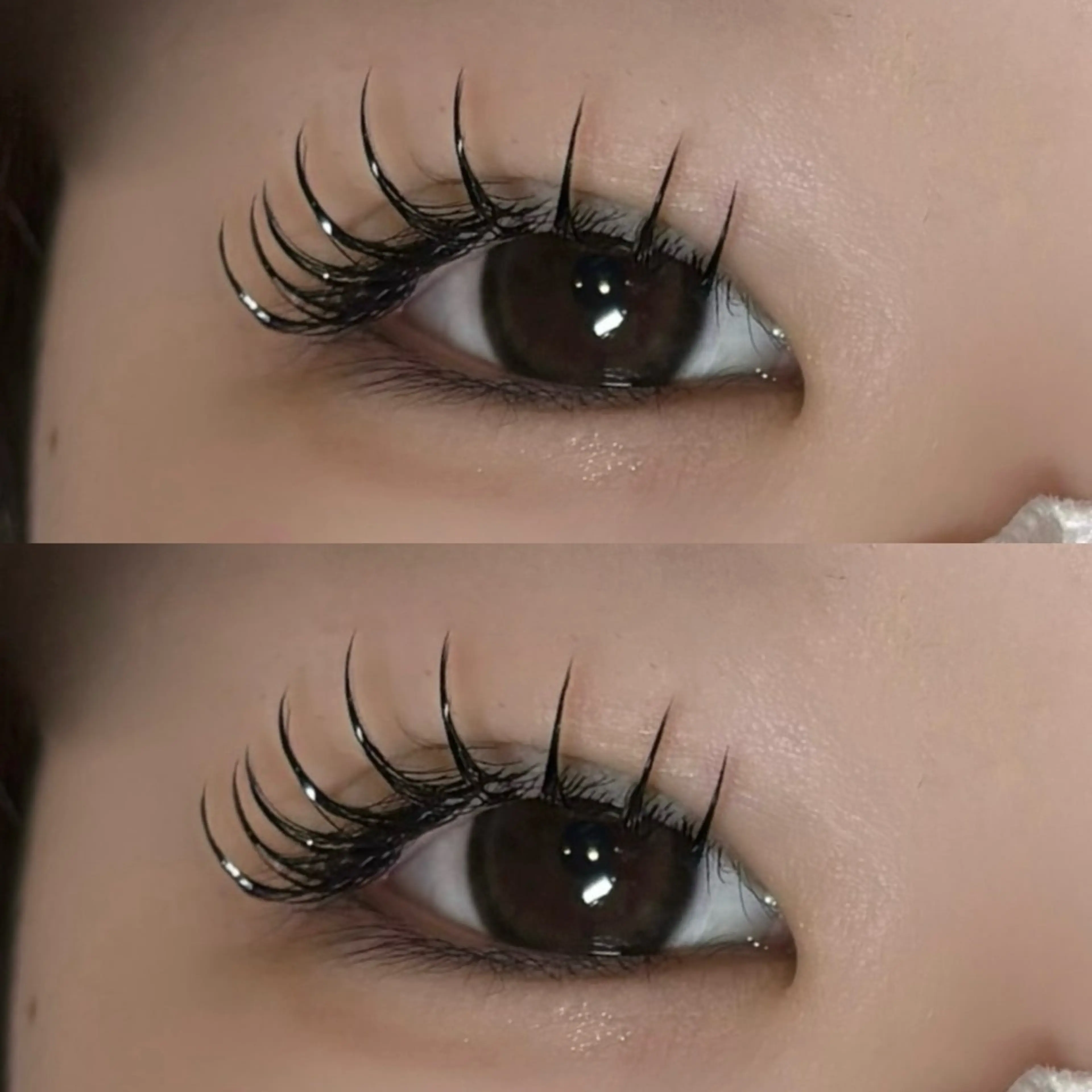 フラットラッシュシングルエクステ100本/付け足し◎の写真