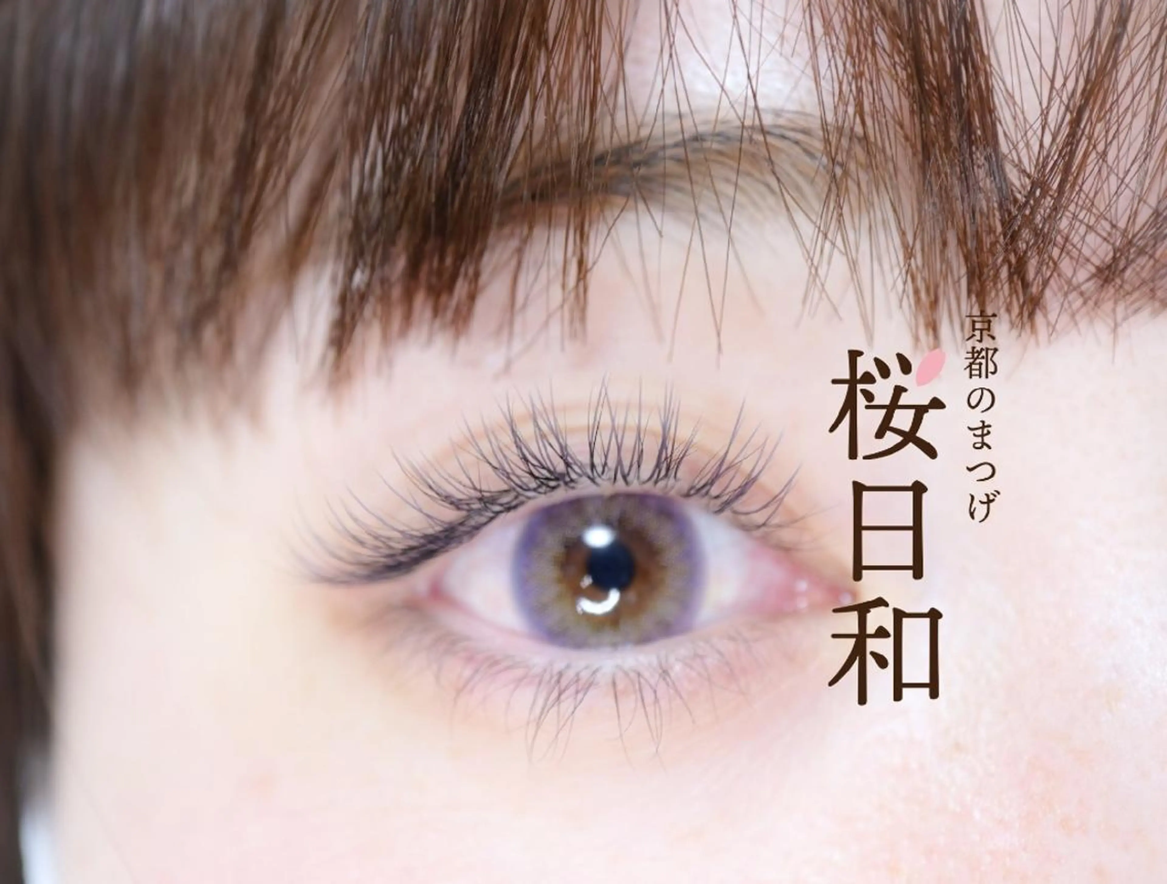 マツエク・マツパ フラットラッシュ Jカール まつげパーマ セクシー 一重×まつ毛パーマ 京都のまつげ桜日和 小島美桜のマツエク・マツパデザイン