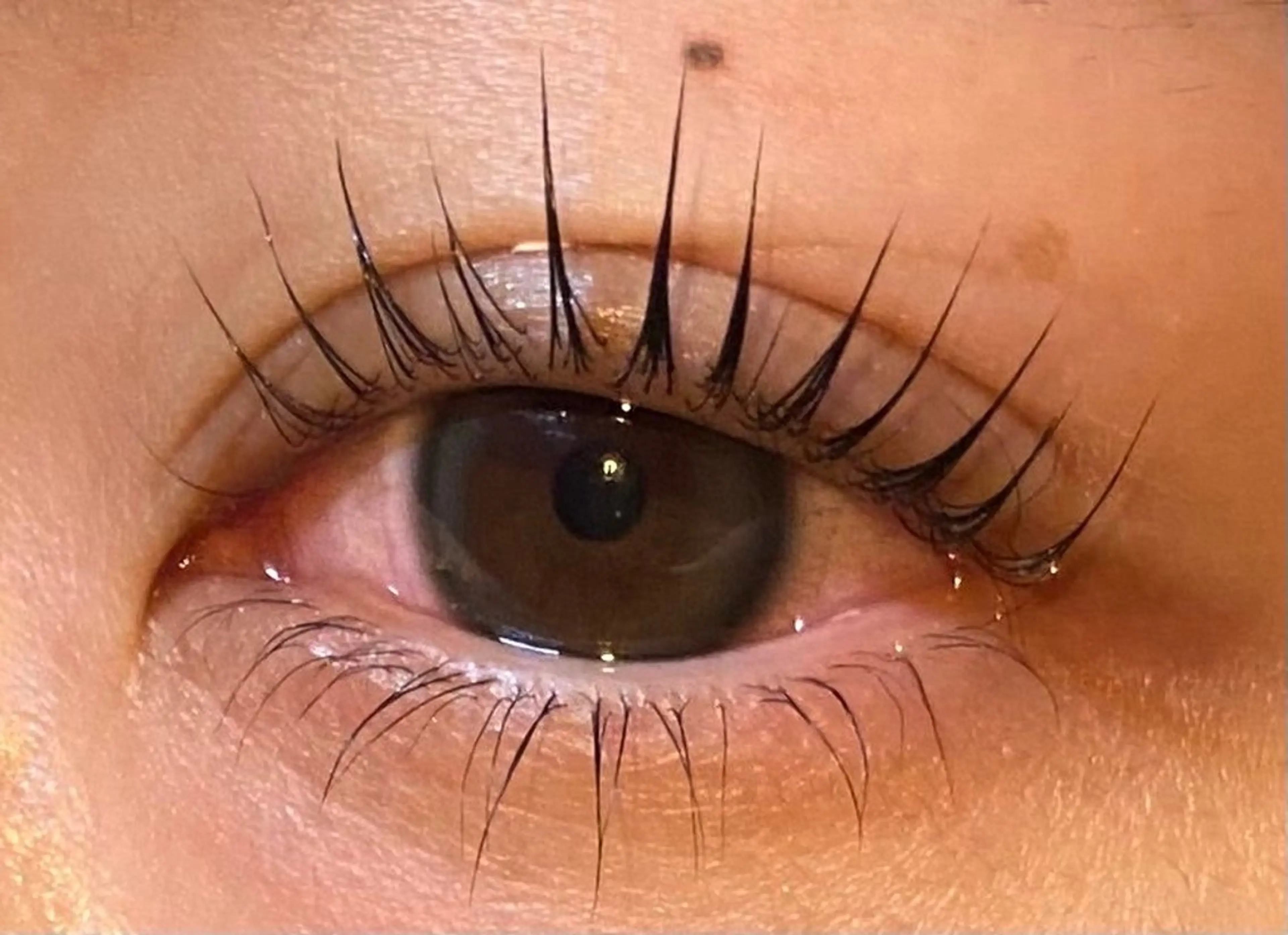 パリジェンヌラッシュリフト上下✨　¥9,900→¥7,280の写真