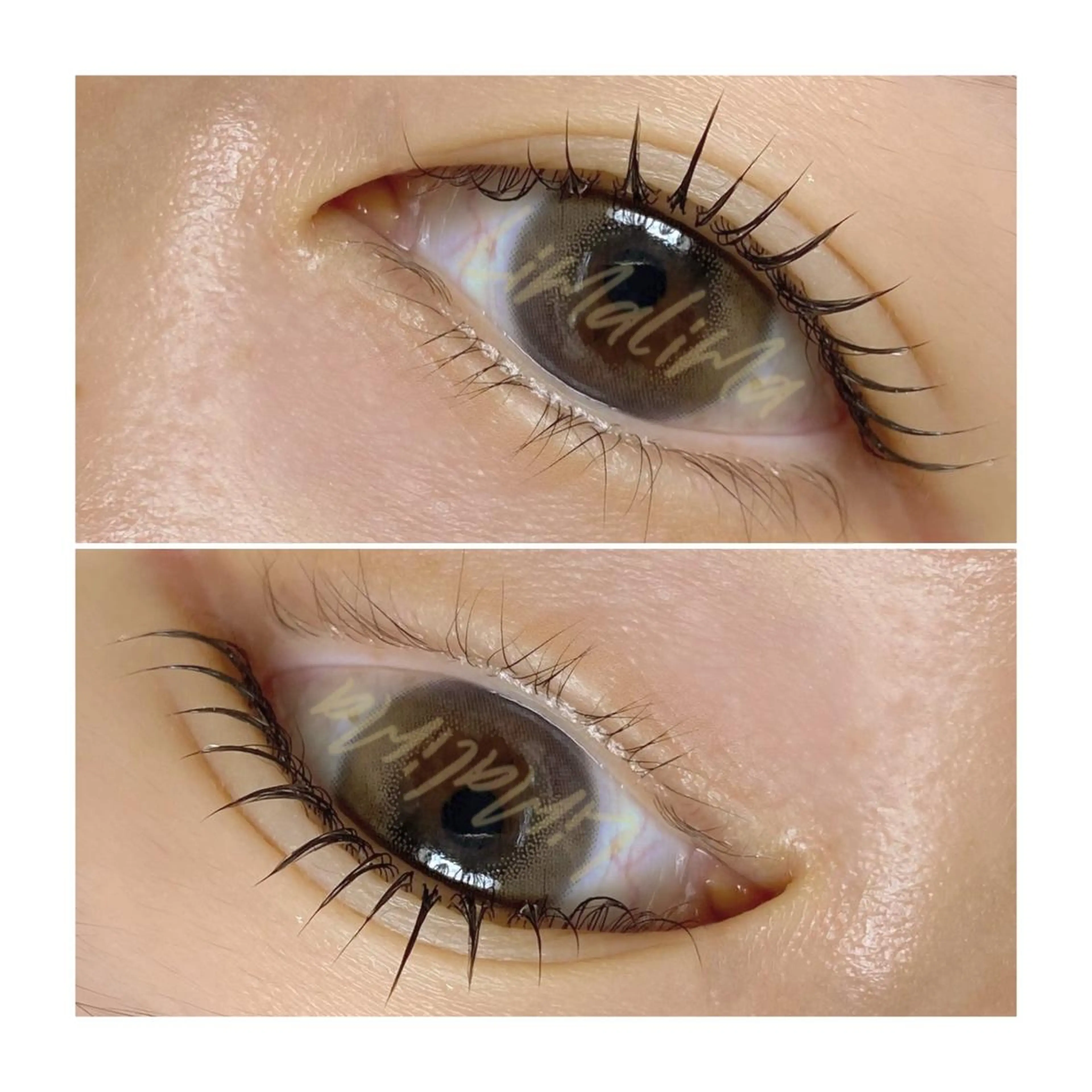 マツエク・マツパ 一重×まつ毛パーマ Limalima所属・まつ毛と眉毛の専門店 Limalima🌿のマツエク・マツパデザイン