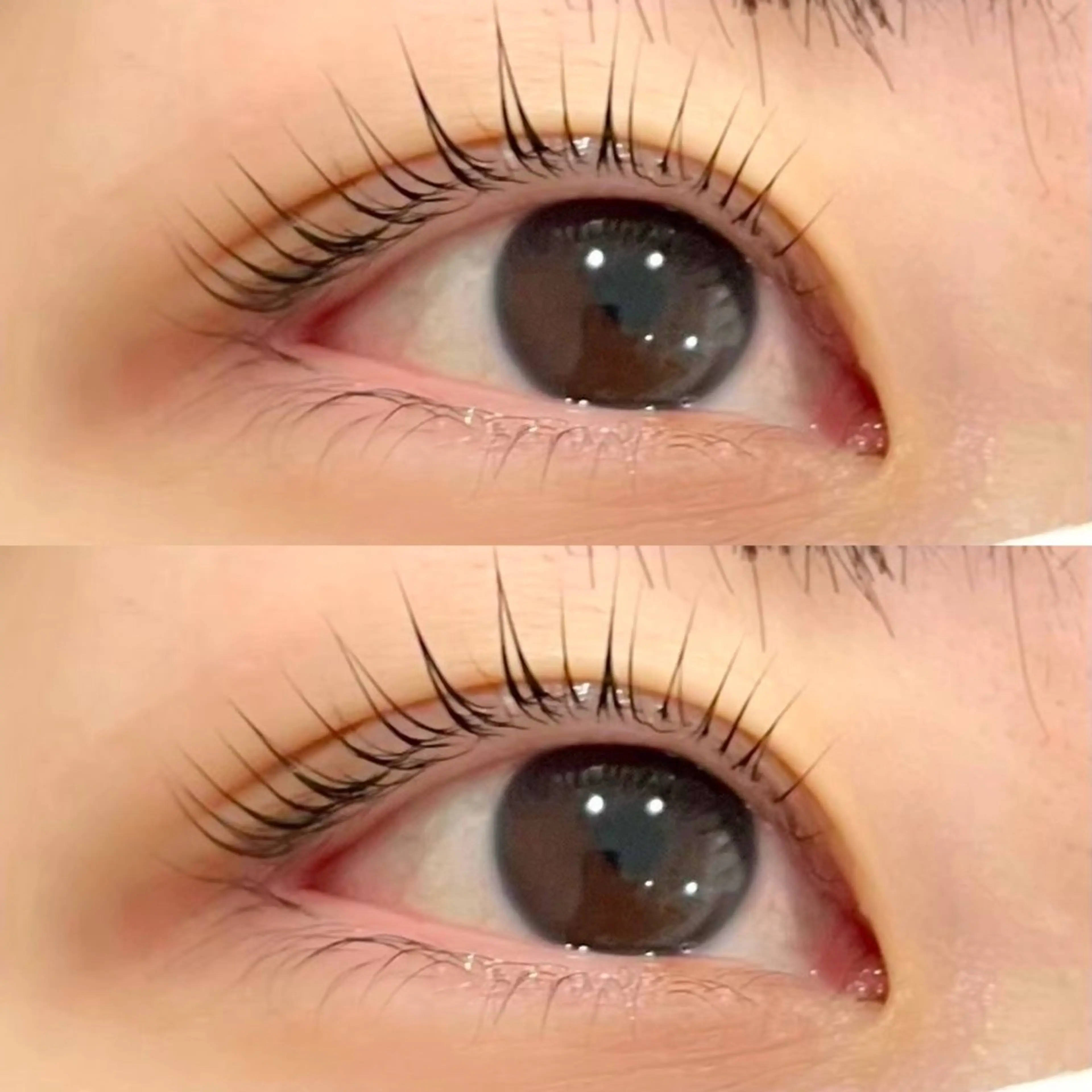 【プレミアム】潤いパーマ＋美容液option付☘️の写真