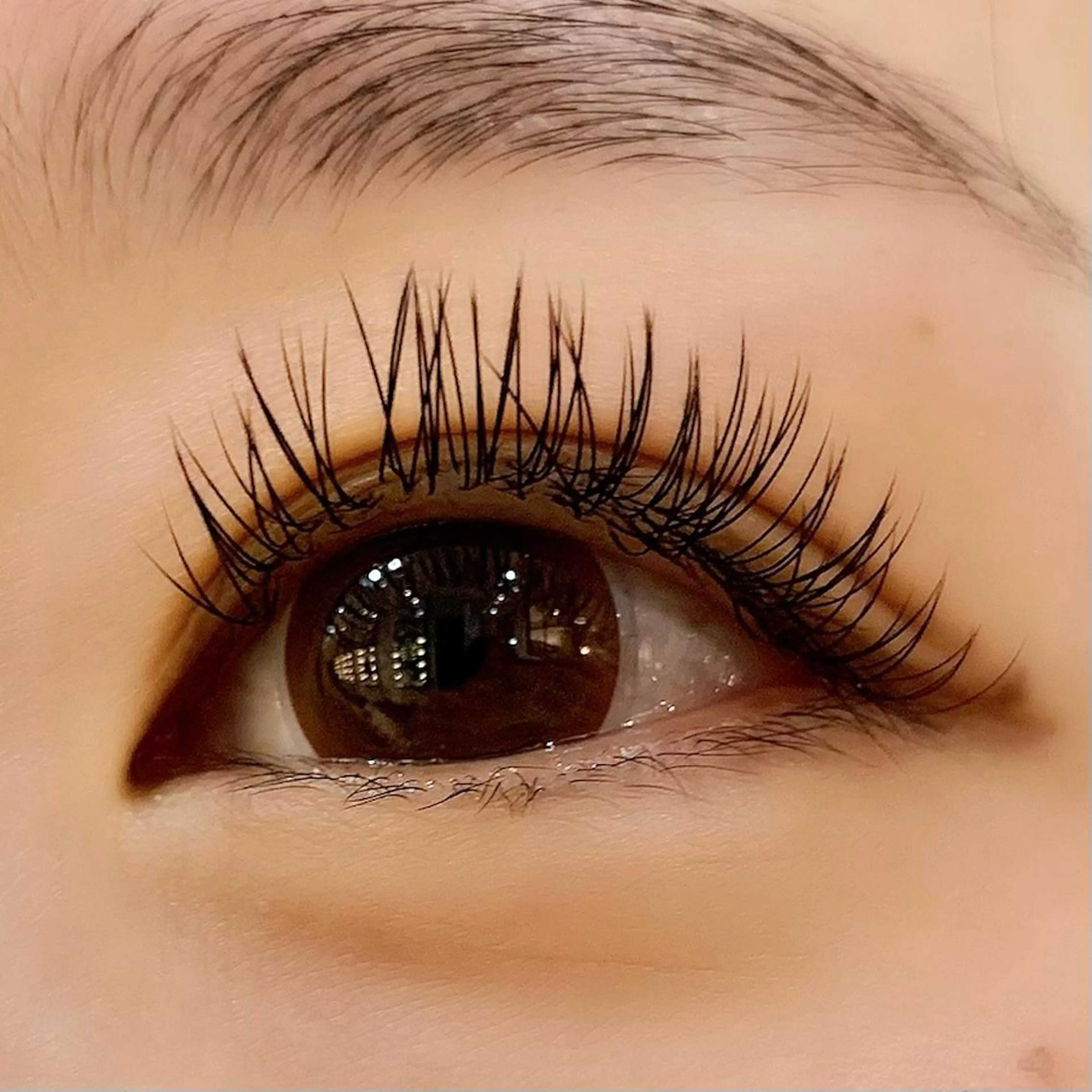 マツエク・マツパ フラットラッシュ Celeste Venus所属・🧸Celeste Venusのマツエク・マツパデザイン