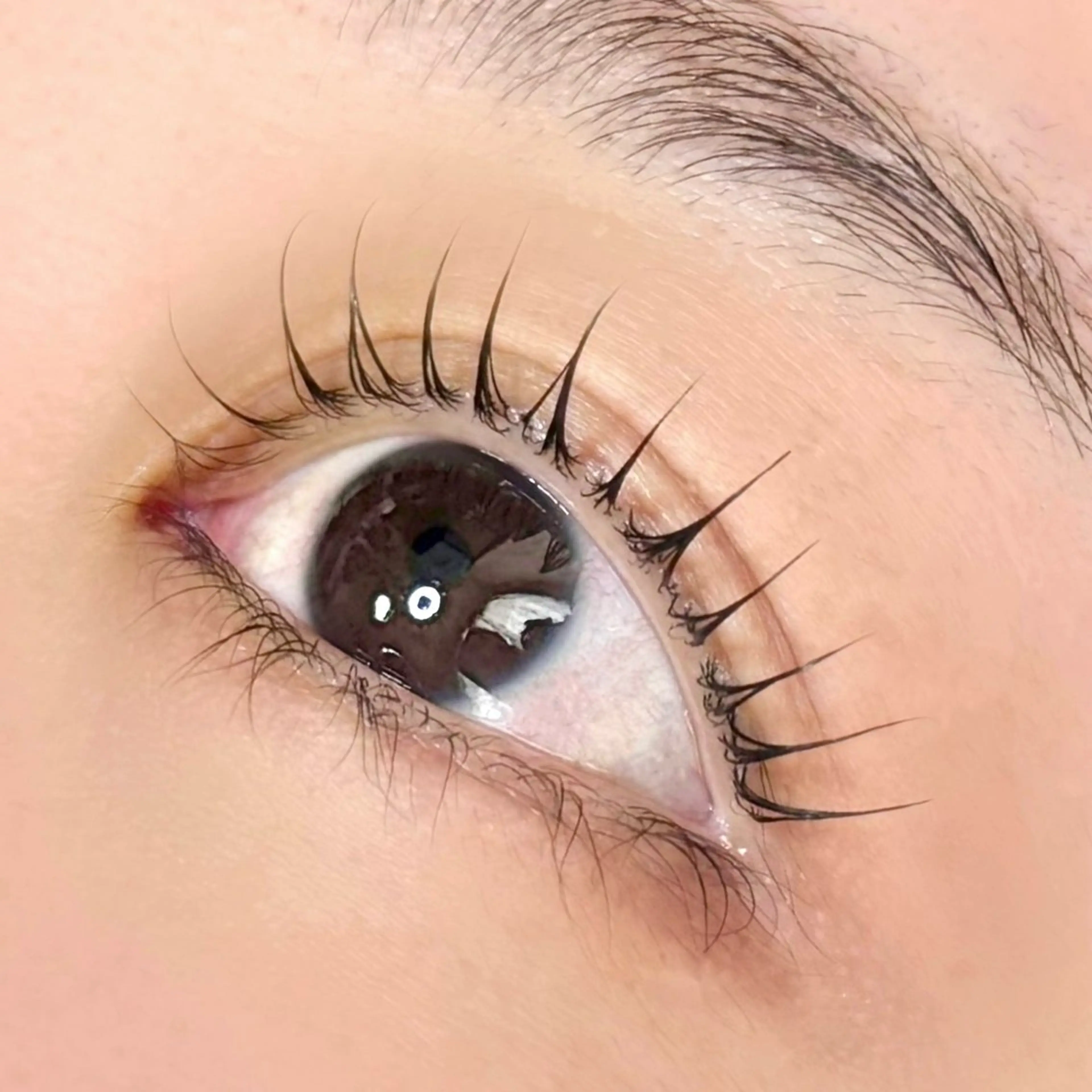 ぷるぷるトリートメント➕まつ毛パーマ🎀の写真