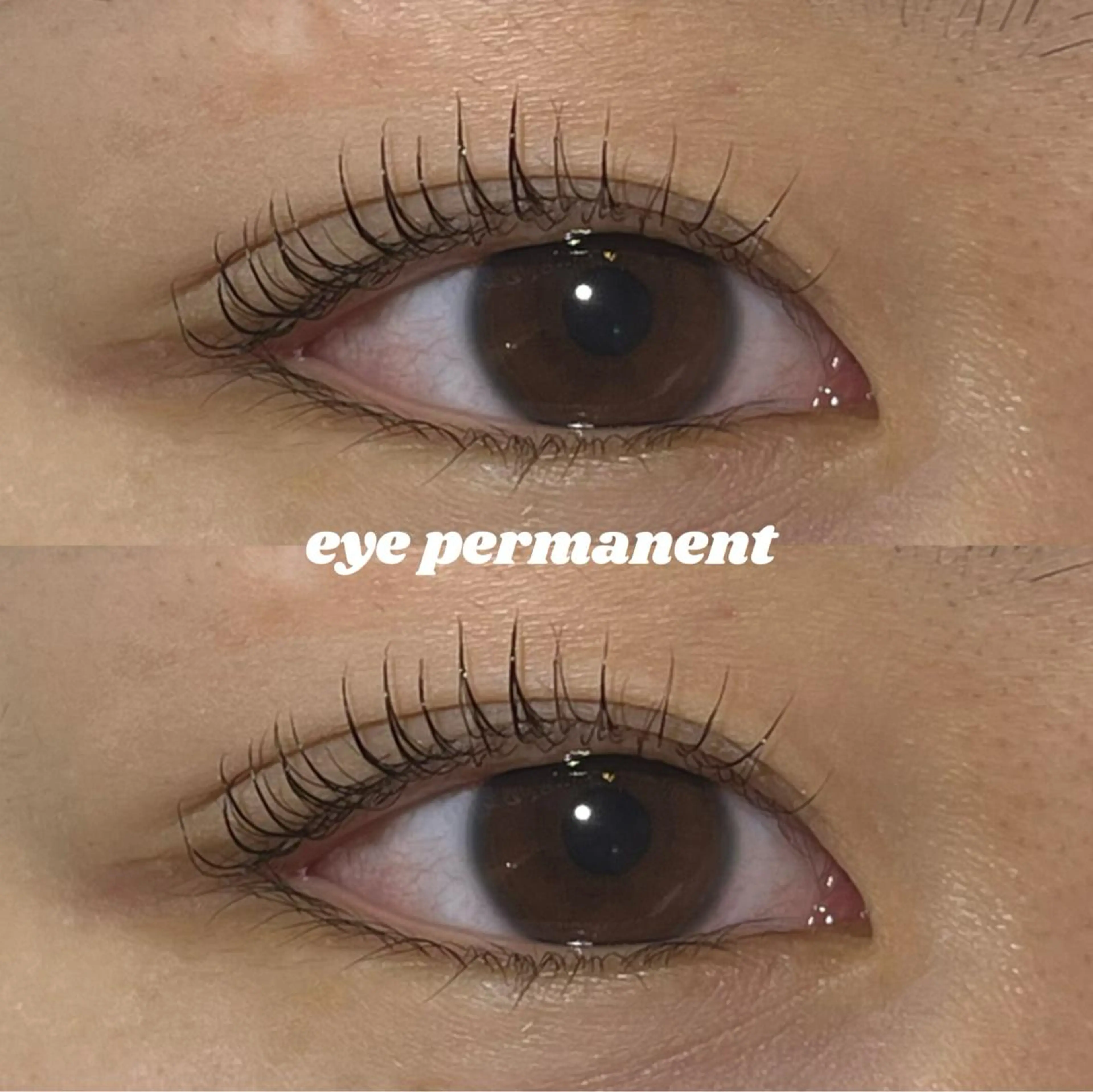 マツエク・マツパ mona 🎀韓国まつパ/眉毛のマツエク・マツパデザイン