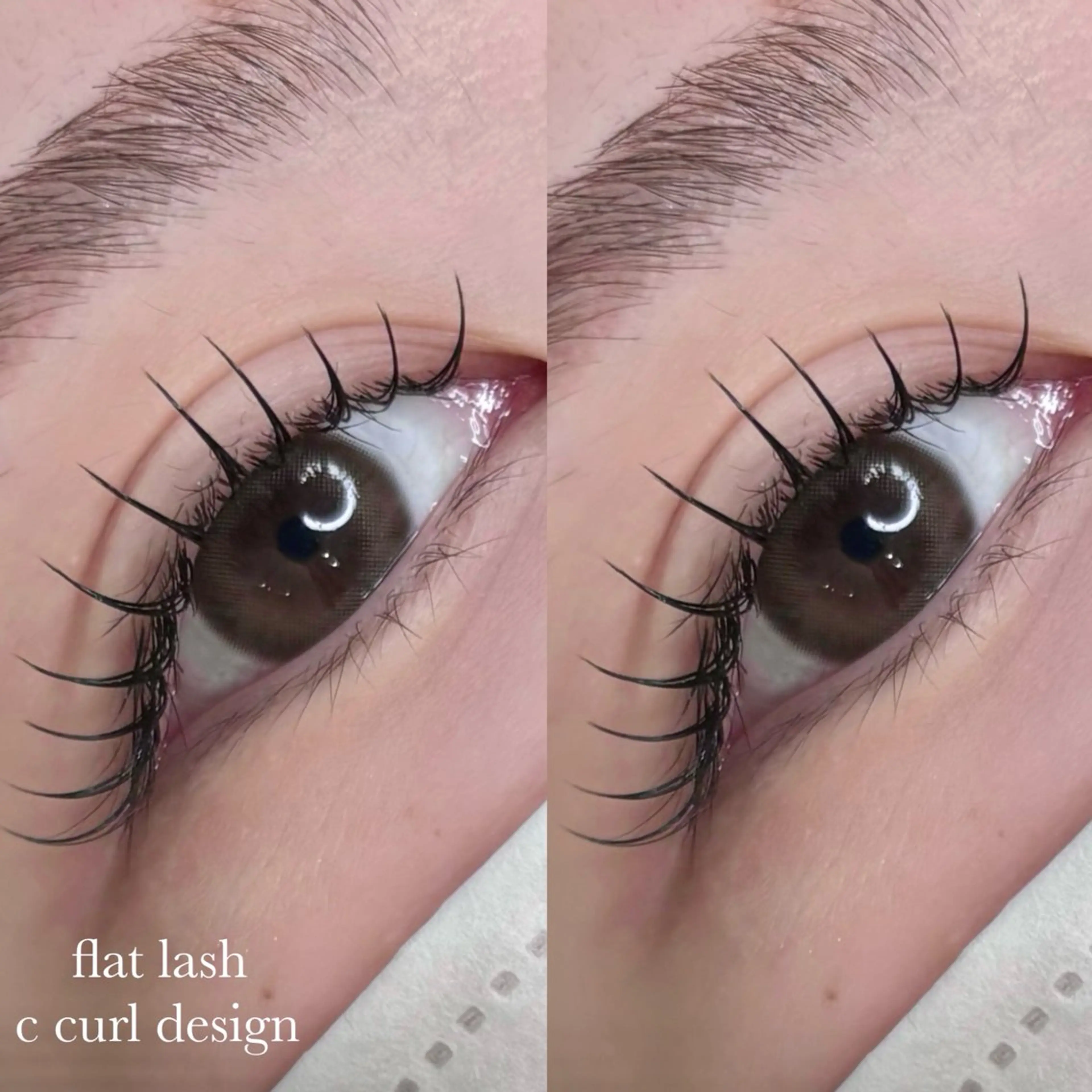 マツエク・マツパ マツパ BEMOA eyelash&eyebrow所属・BEMOA 新木 毬のマツエク・マツパデザイン