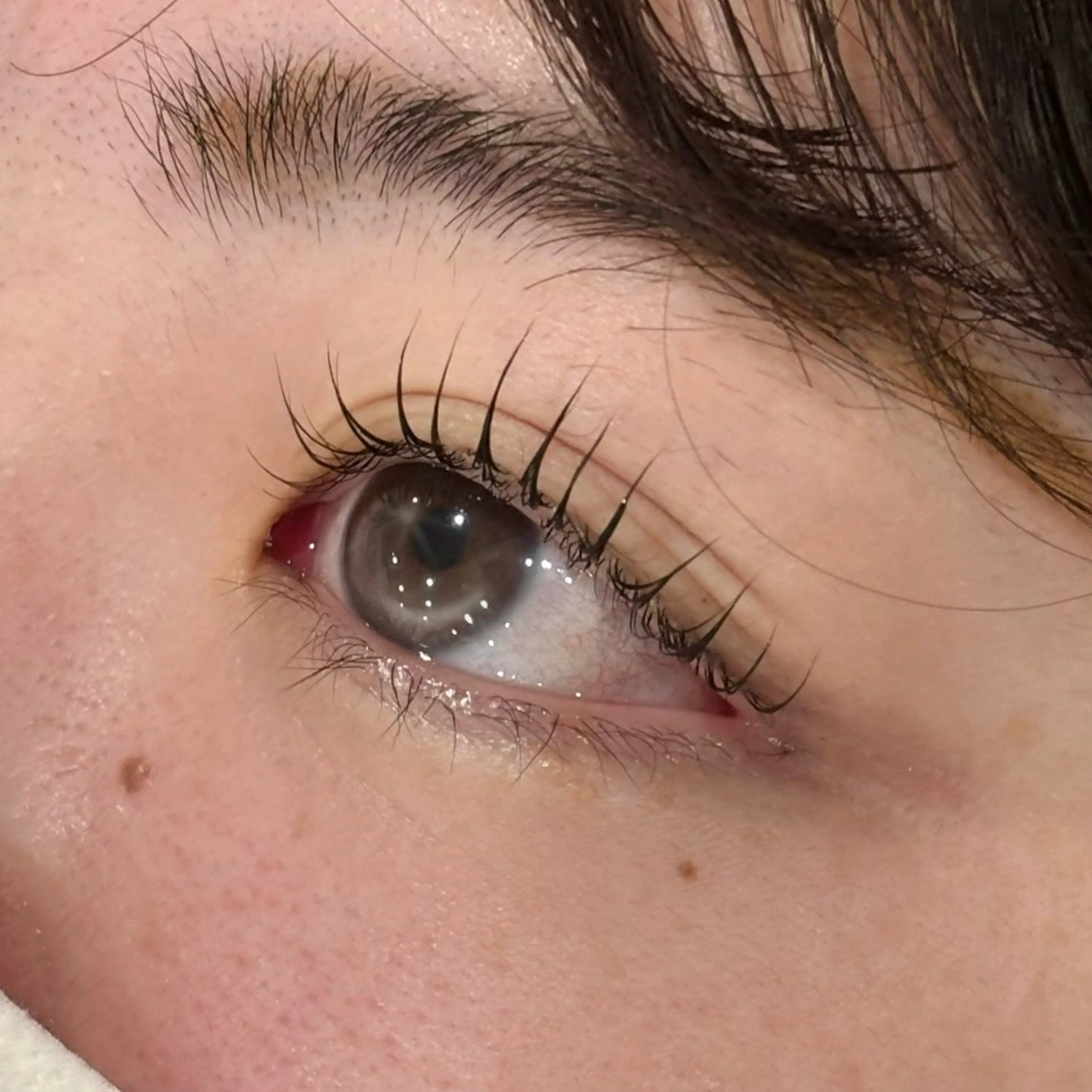 マツエク・マツパ sofa / Akari🏠のマツエク・マツパデザイン