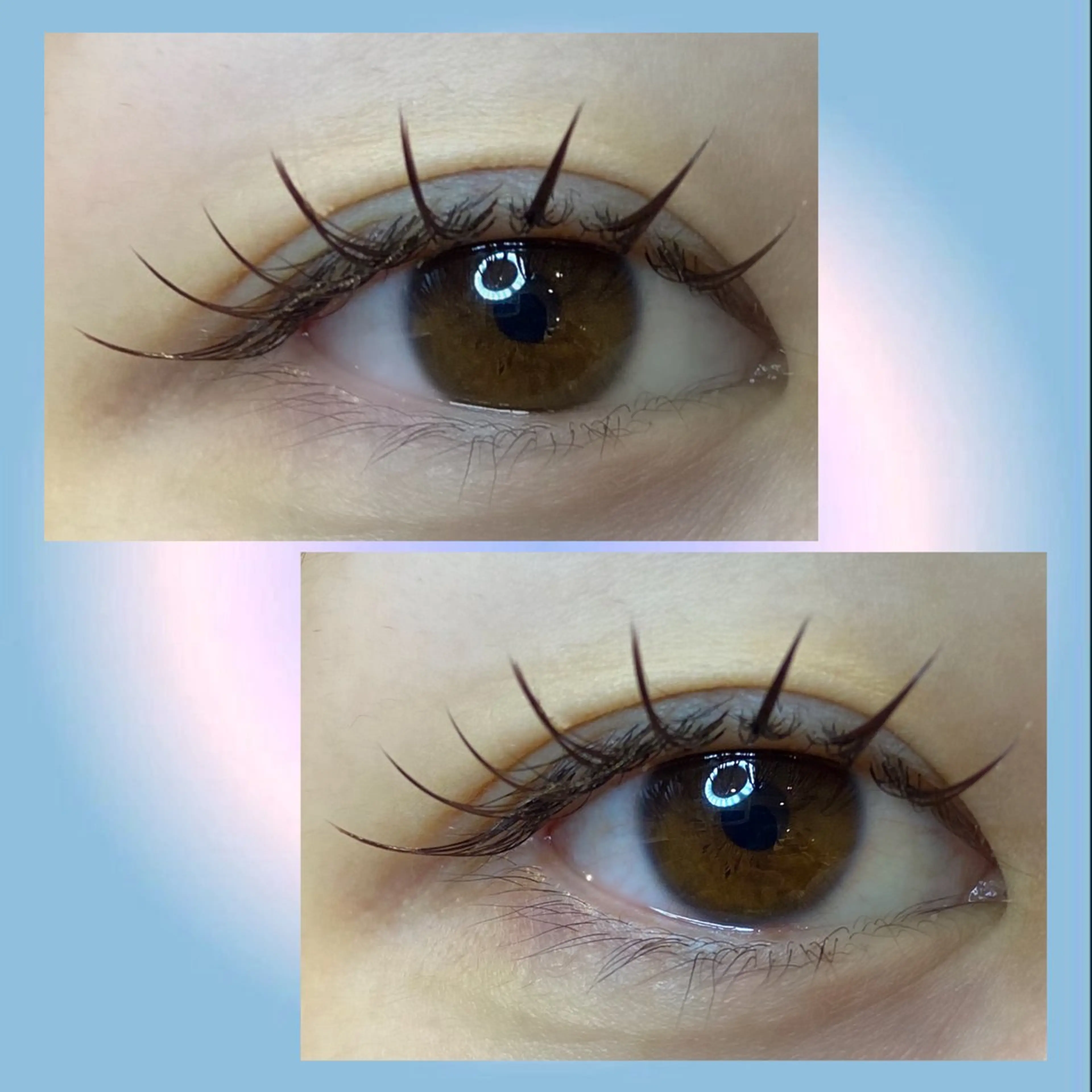 マツエク・マツパ カラーマツエク セーブル マツエク 長沼 玲衣のマツエク・マツパデザイン