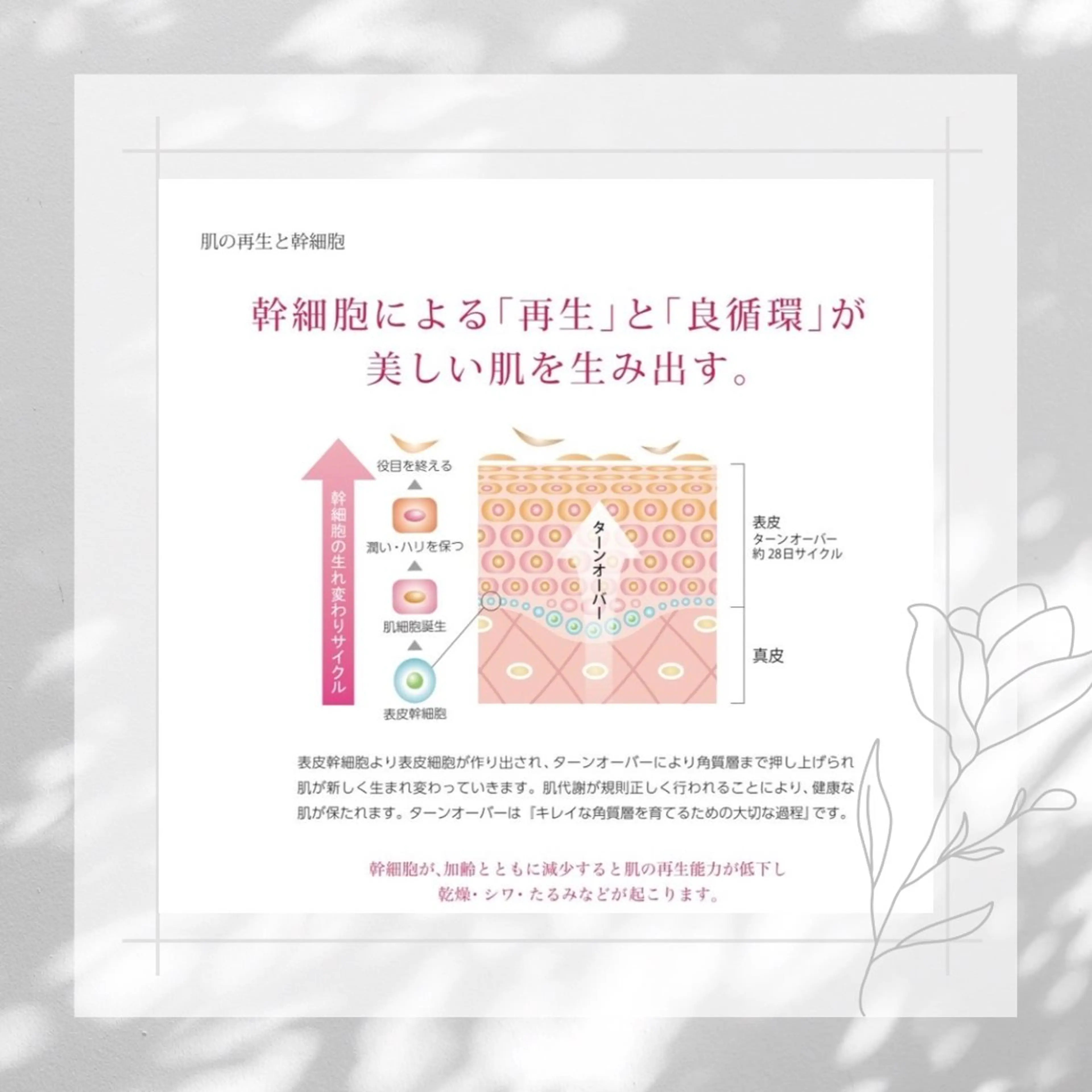 private salon  Koiのその他イメージ