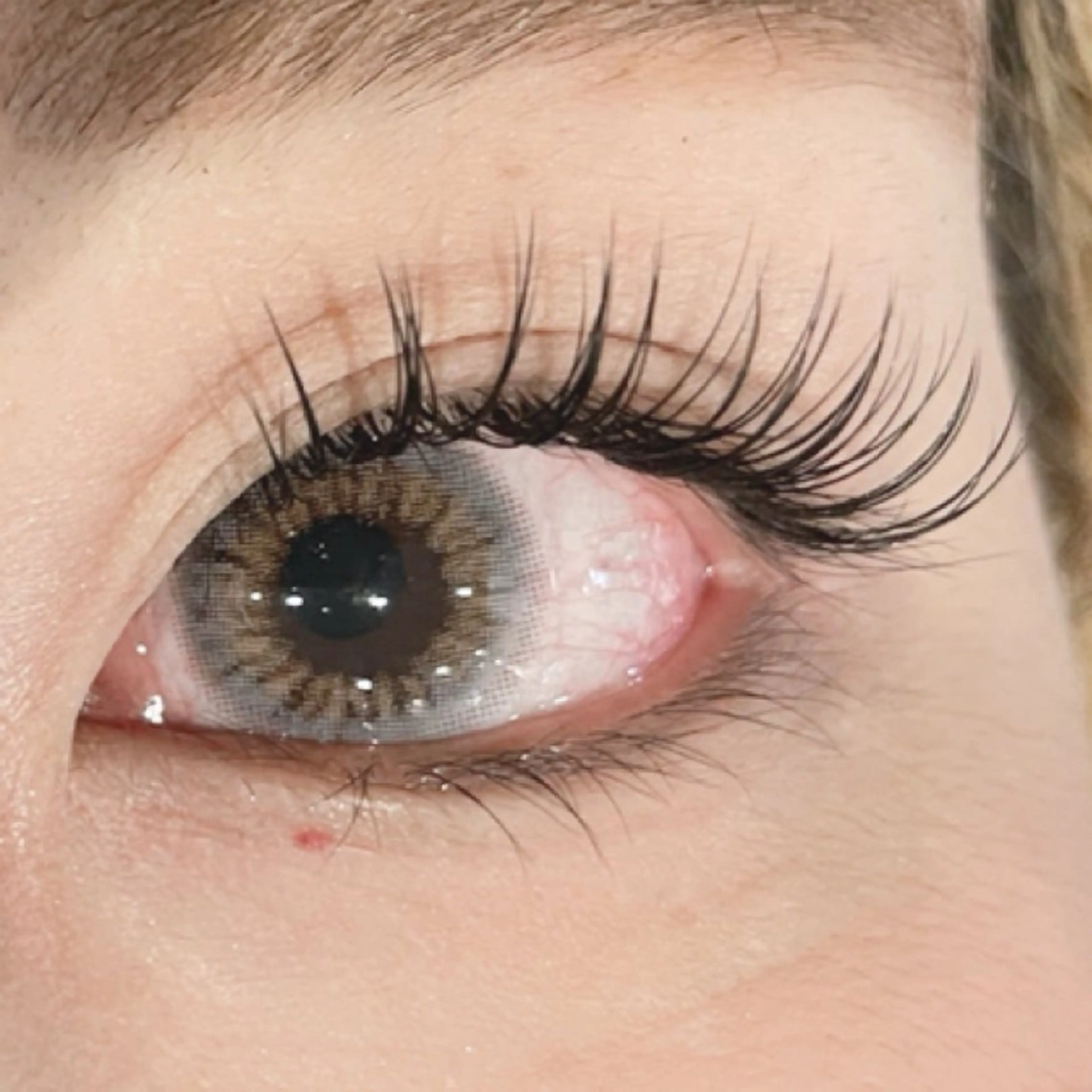 マツエク・マツパ マツエク bien 🐈‍⬛の眉毛・アイブロウイメージ