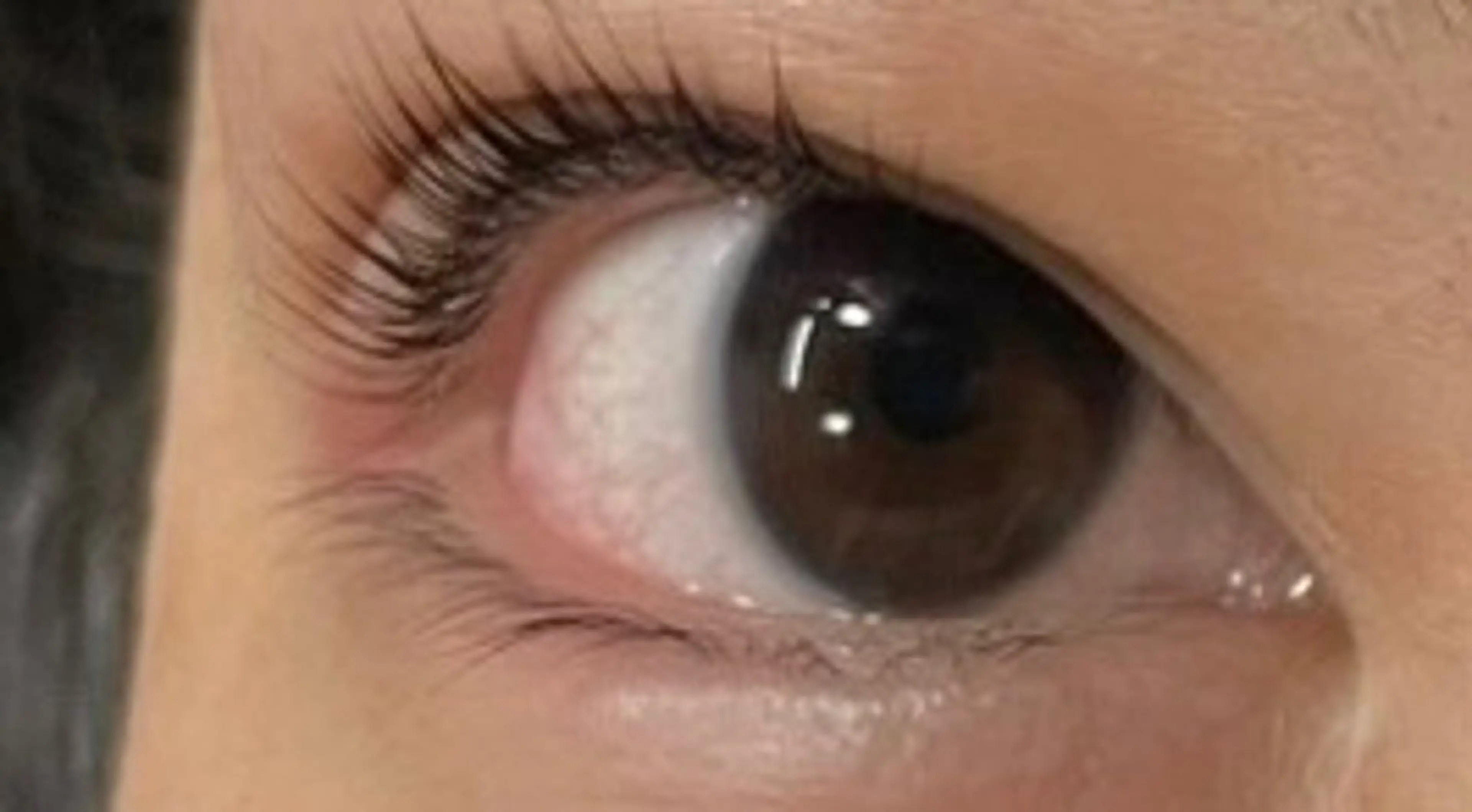 マツエク・マツパ 山本 美樹のマツエク・マツパデザイン