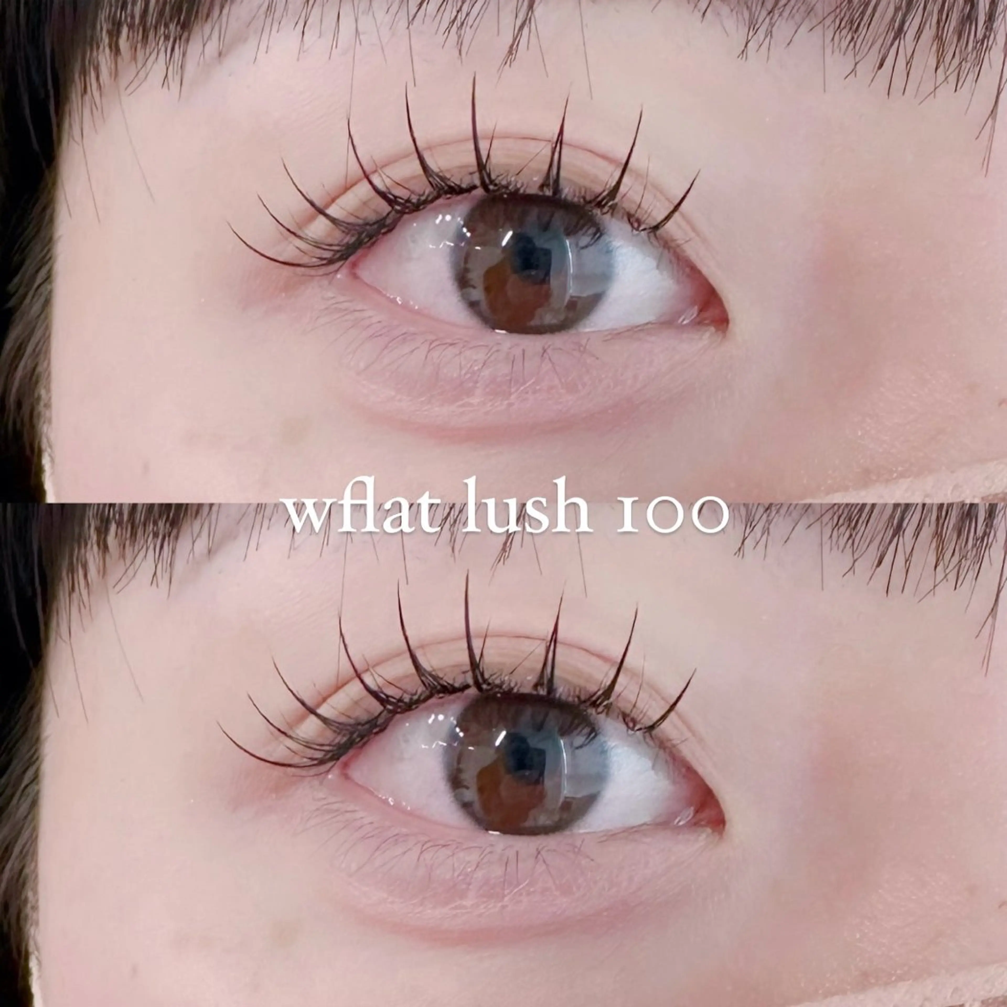 マツエク・マツパ Shucre名駅🤍 AYUのマツエク・マツパデザイン