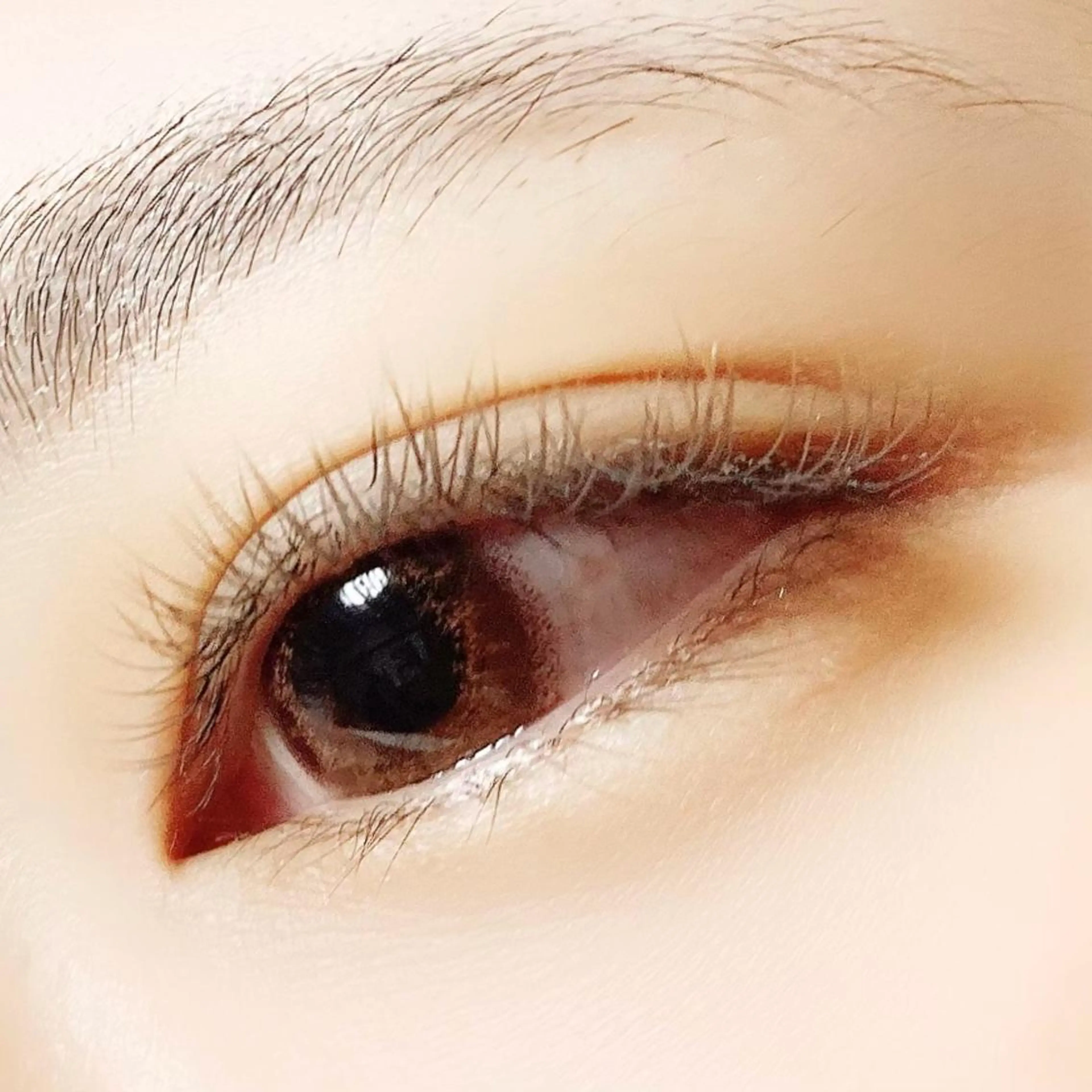 マツエク・マツパ Hase　本八幡 🧸マツエク専門🧸のマツエク・マツパデザイン