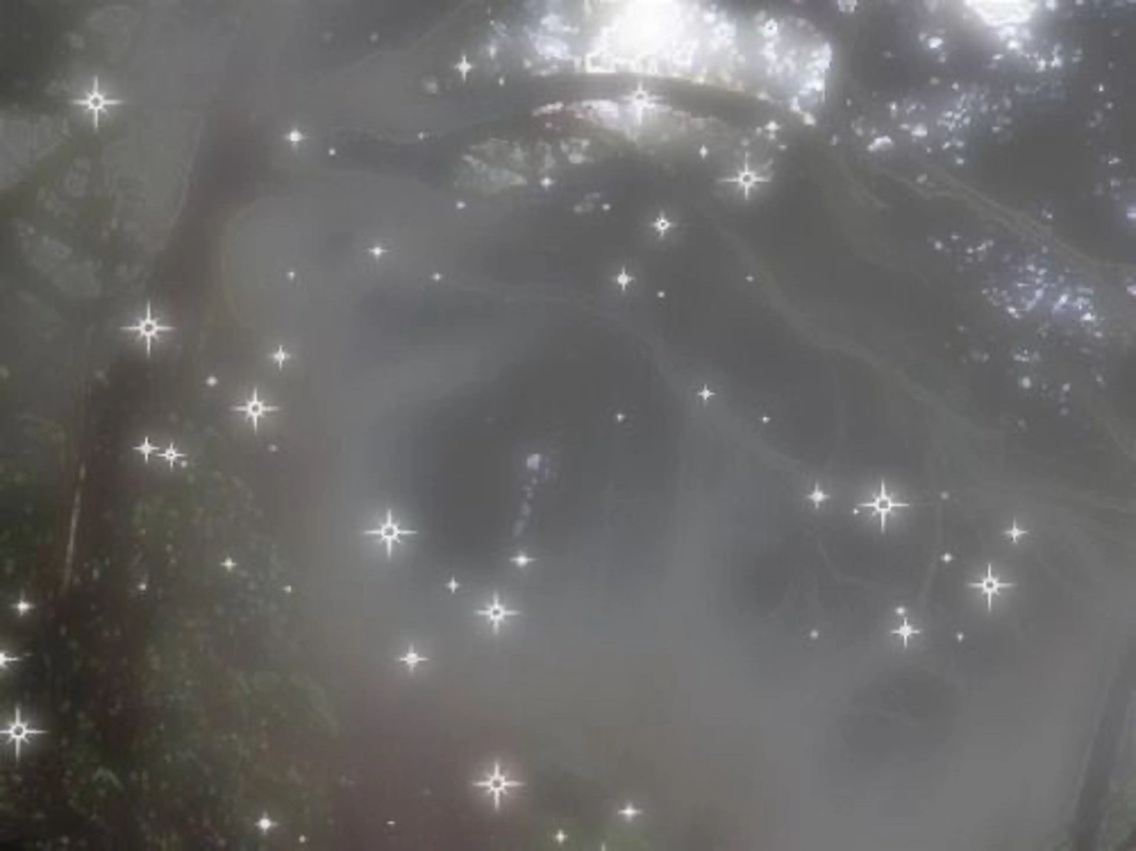 ジェルオフ+プレパレーション🤎の写真