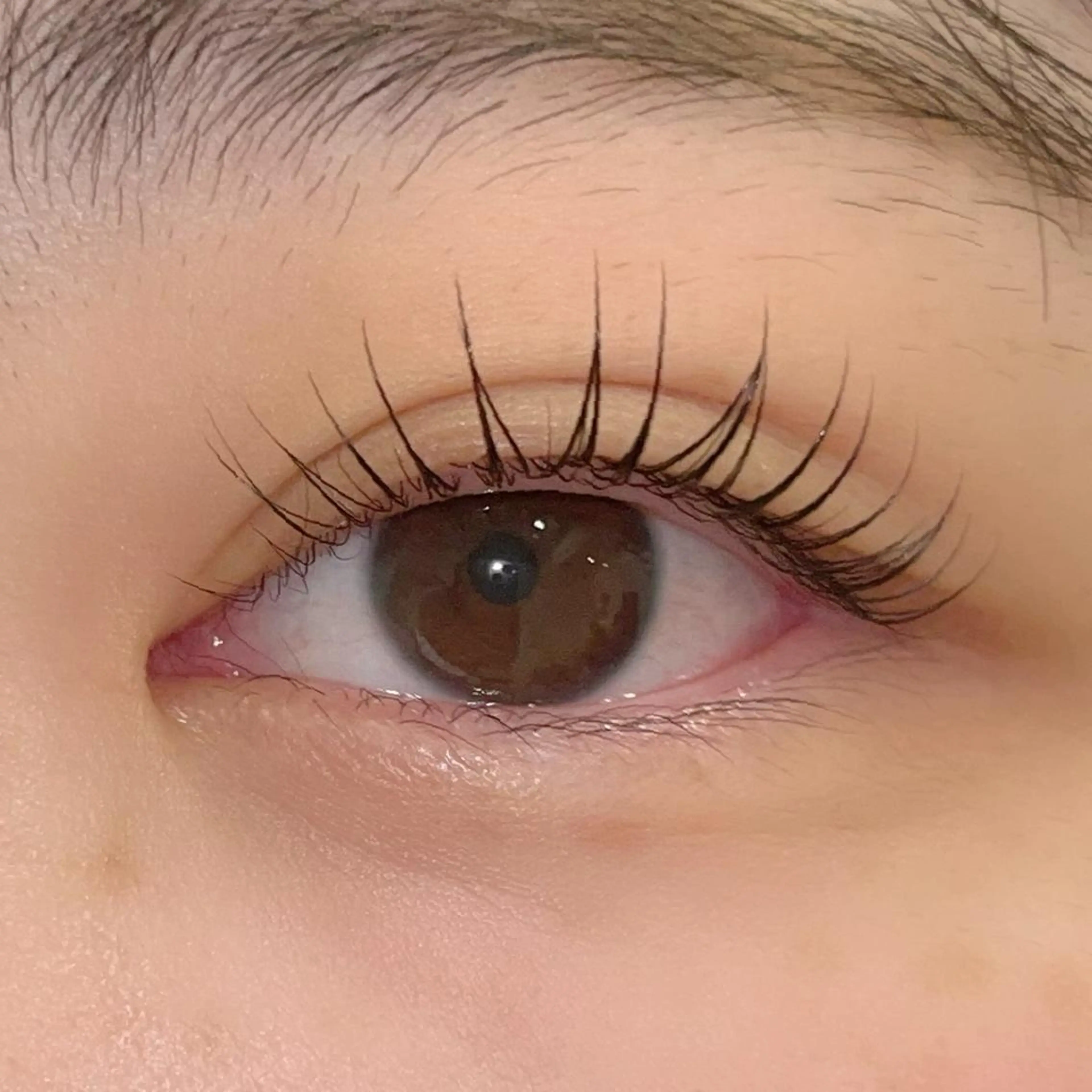 マツエク・マツパ パリジェンヌラッシュリフト まつげパーマ ai一重専門🎀束感 まつげ🫧表参道のマツエク・マツパデザイン