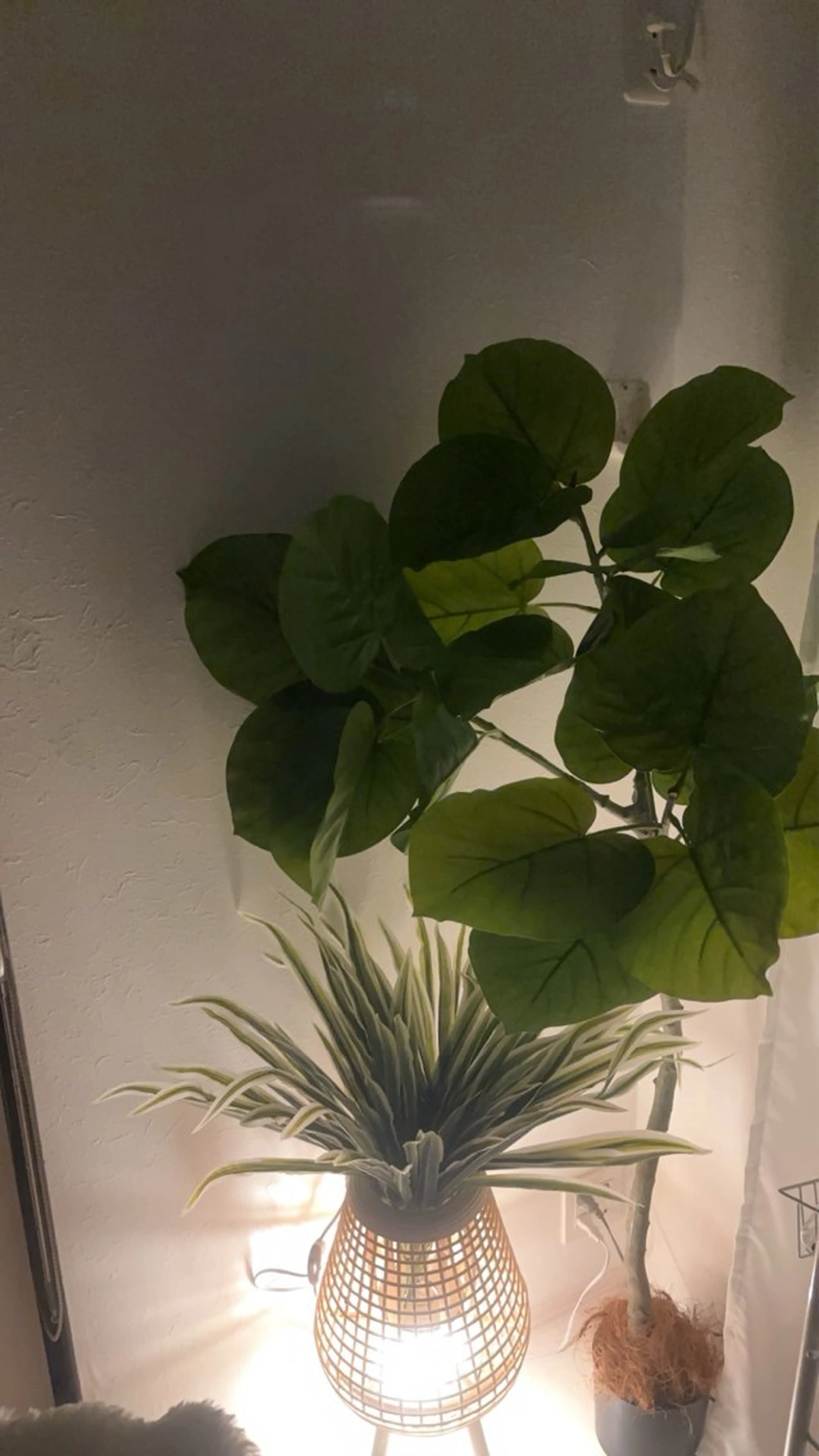 リジュベ所属・Rejuve ﾘｼﾞｭﾍﾞのエステ・リラクイメージ