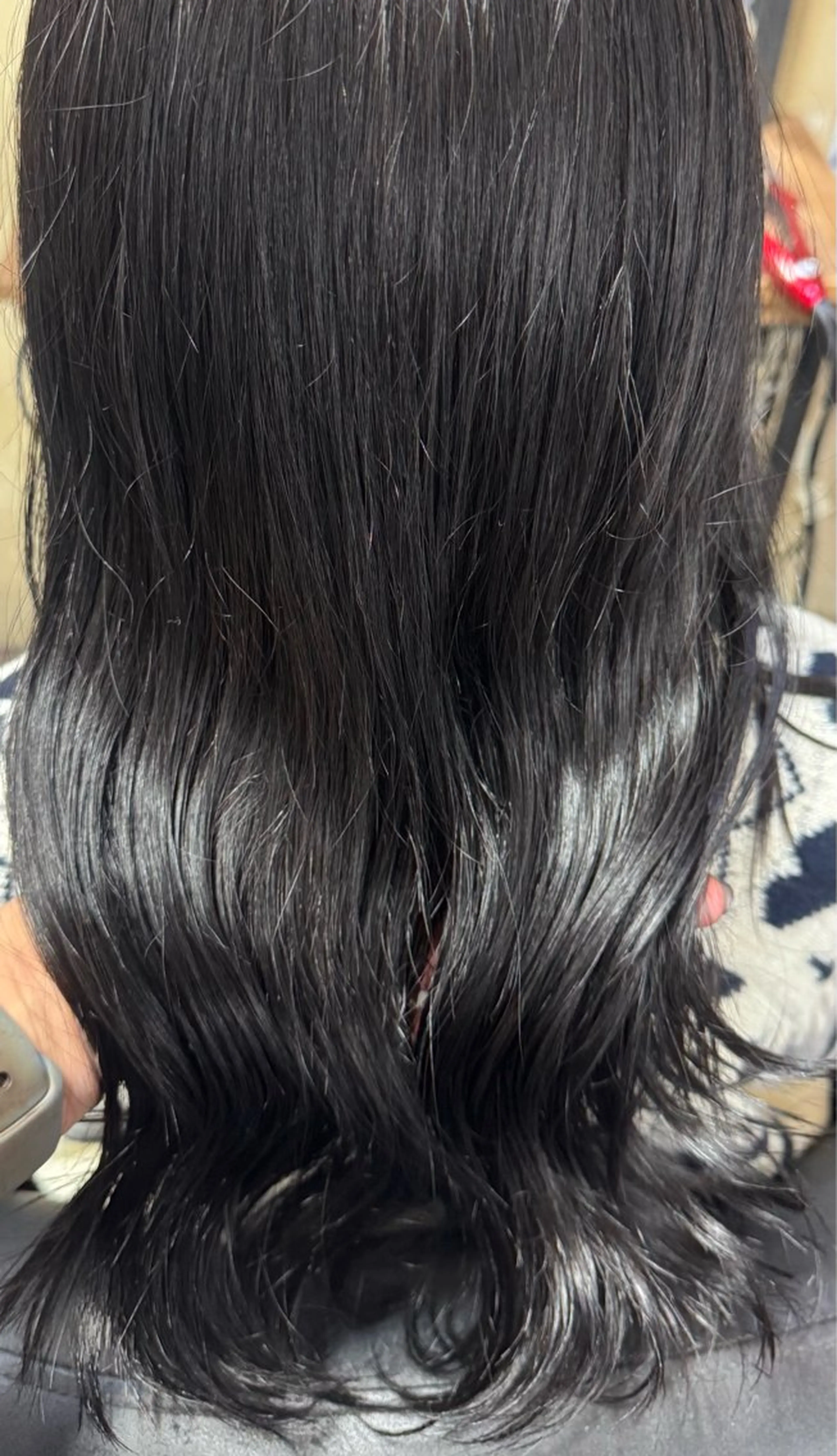 セミロング カラー ヘアカラー absolute所属・艶カラー🎀 YUUKAのヘアスタイル