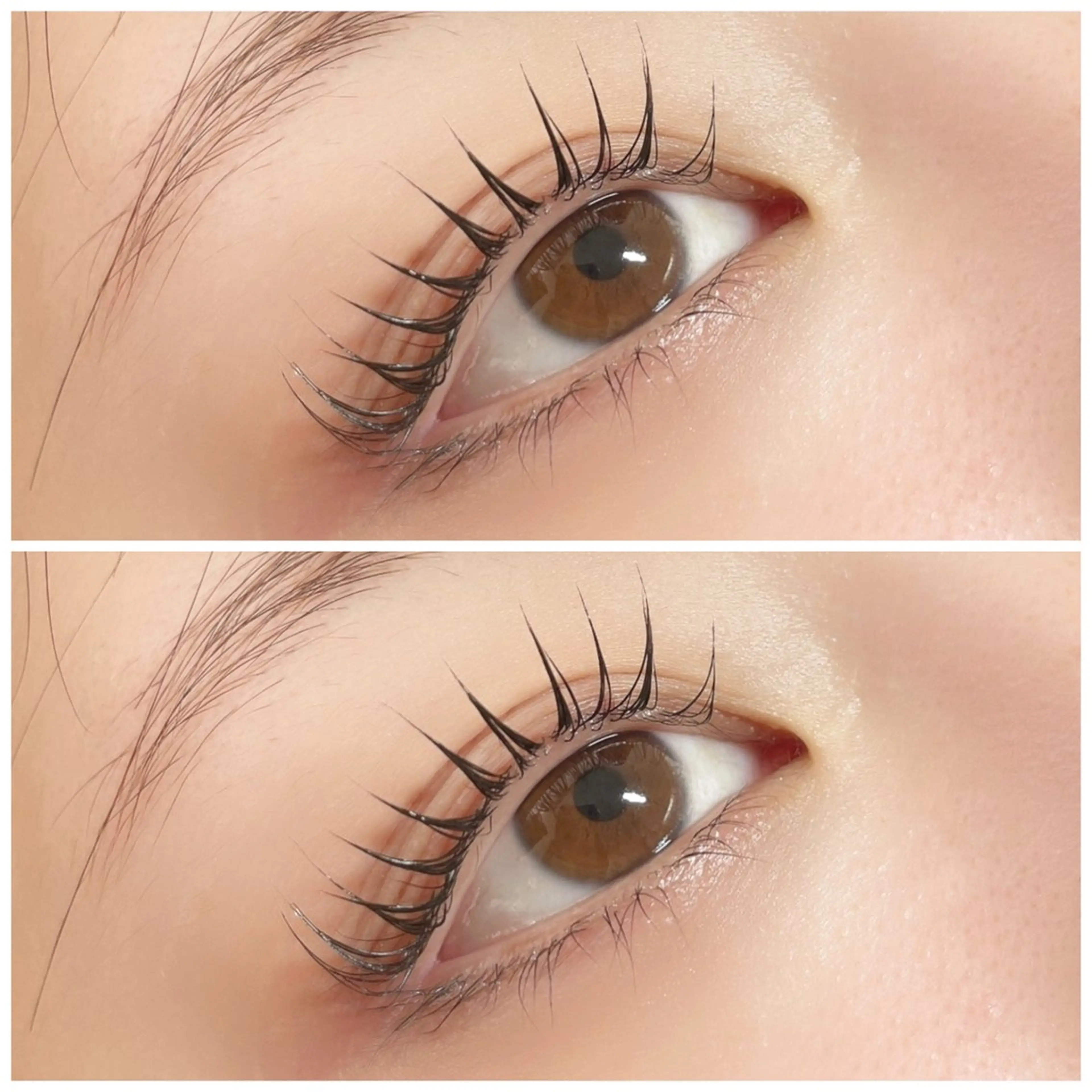 パリジェンヌラッシュリフト　トリートメント3回付きの写真