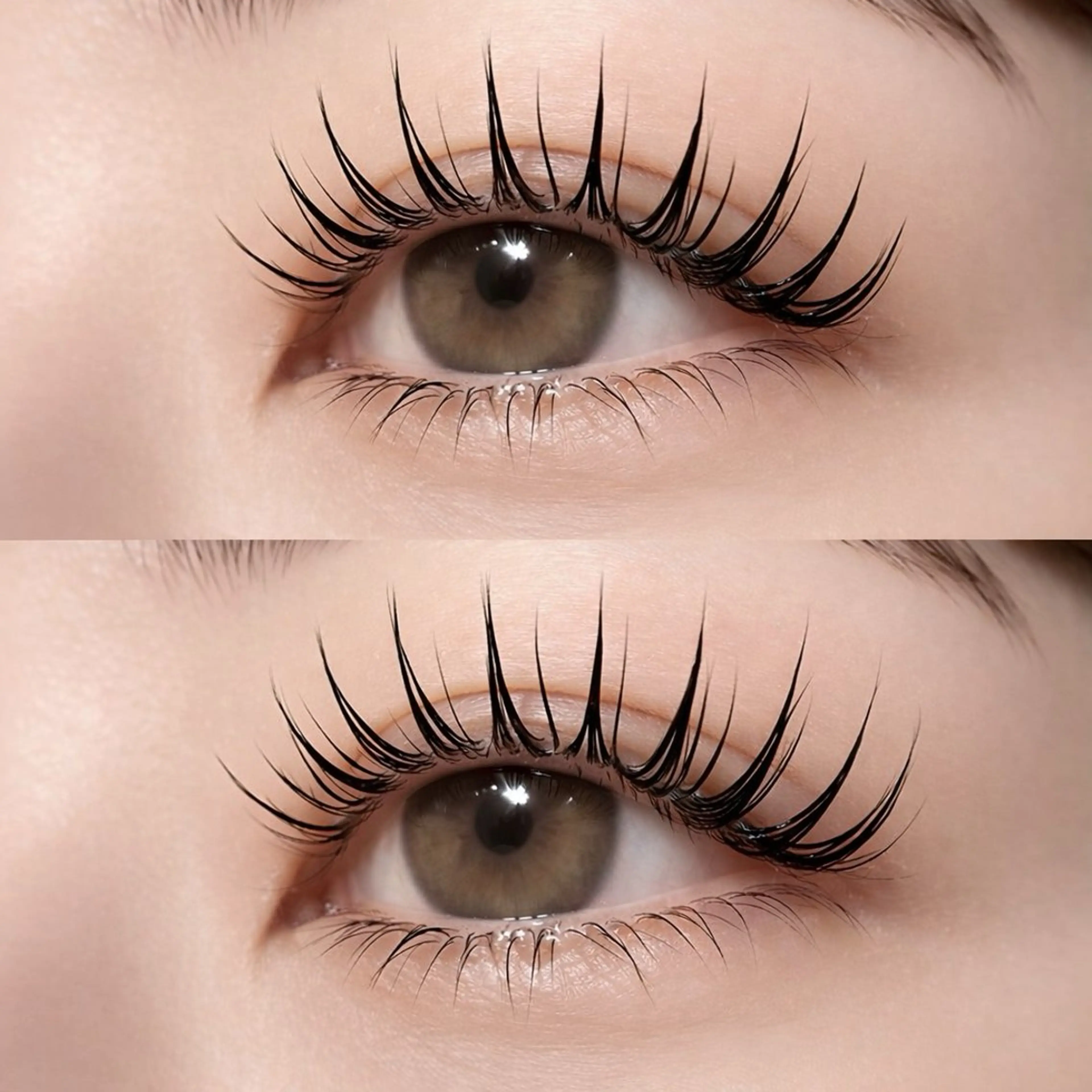 マツエク・マツパ 👑𝐊𝐢𝐧𝐠 心斎橋店🎀美麗のマツエク・マツパデザイン