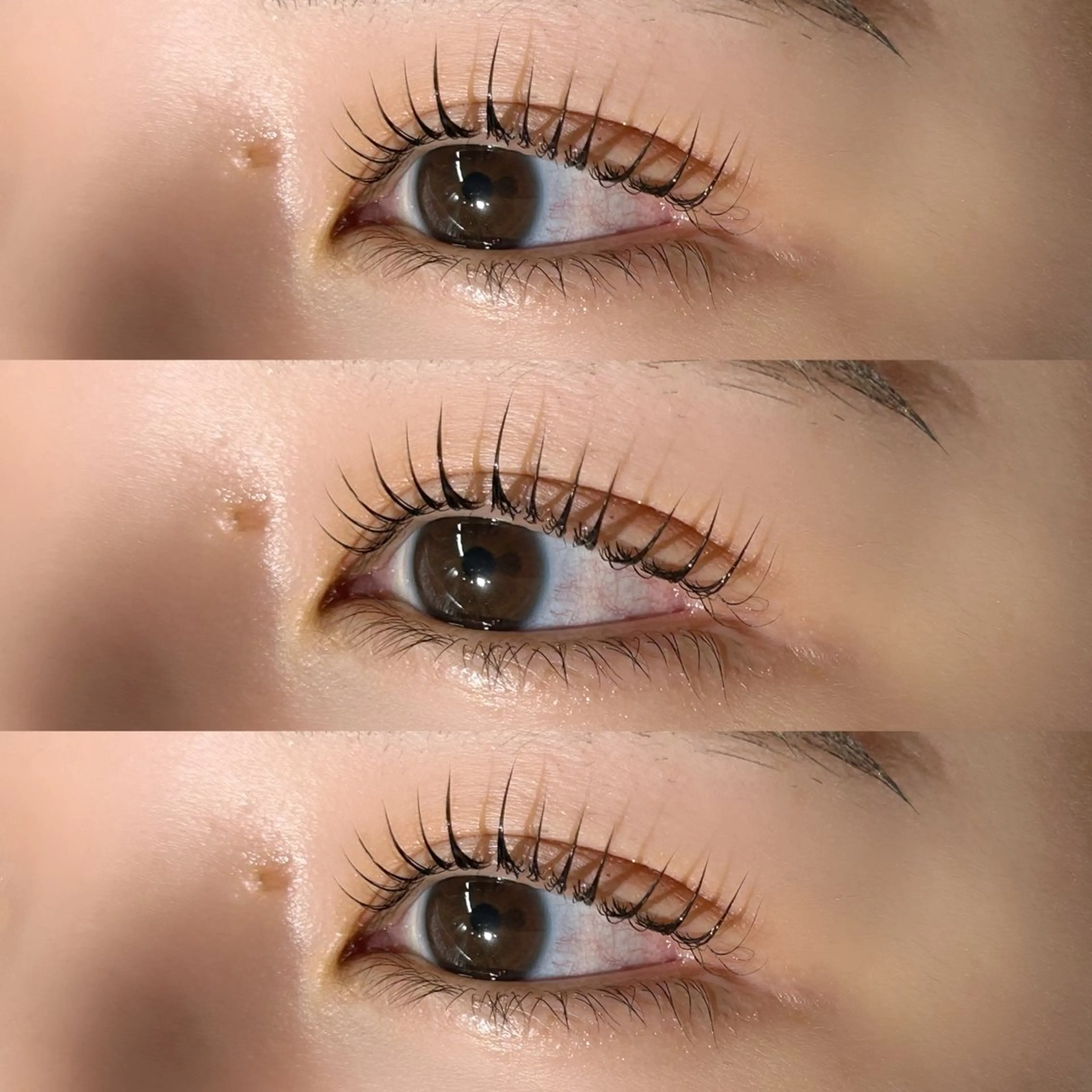 🐰🫧マスカラまつげパーマ🫧🐰¥6,550の写真