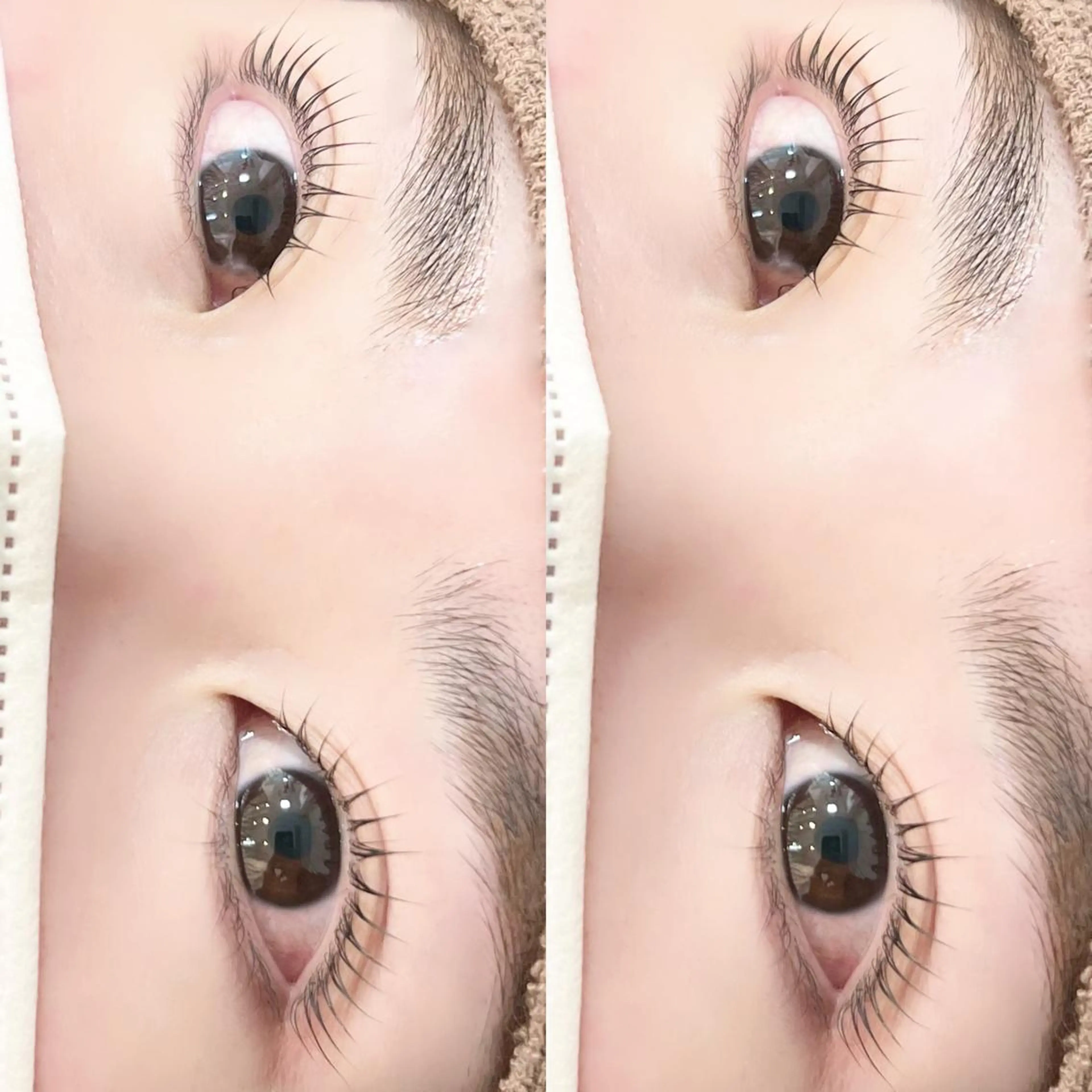 マツエク・マツパ パリジェンヌラッシュリフト マツパ 【myonsil】 Suzuki*のマツエク・マツパデザイン