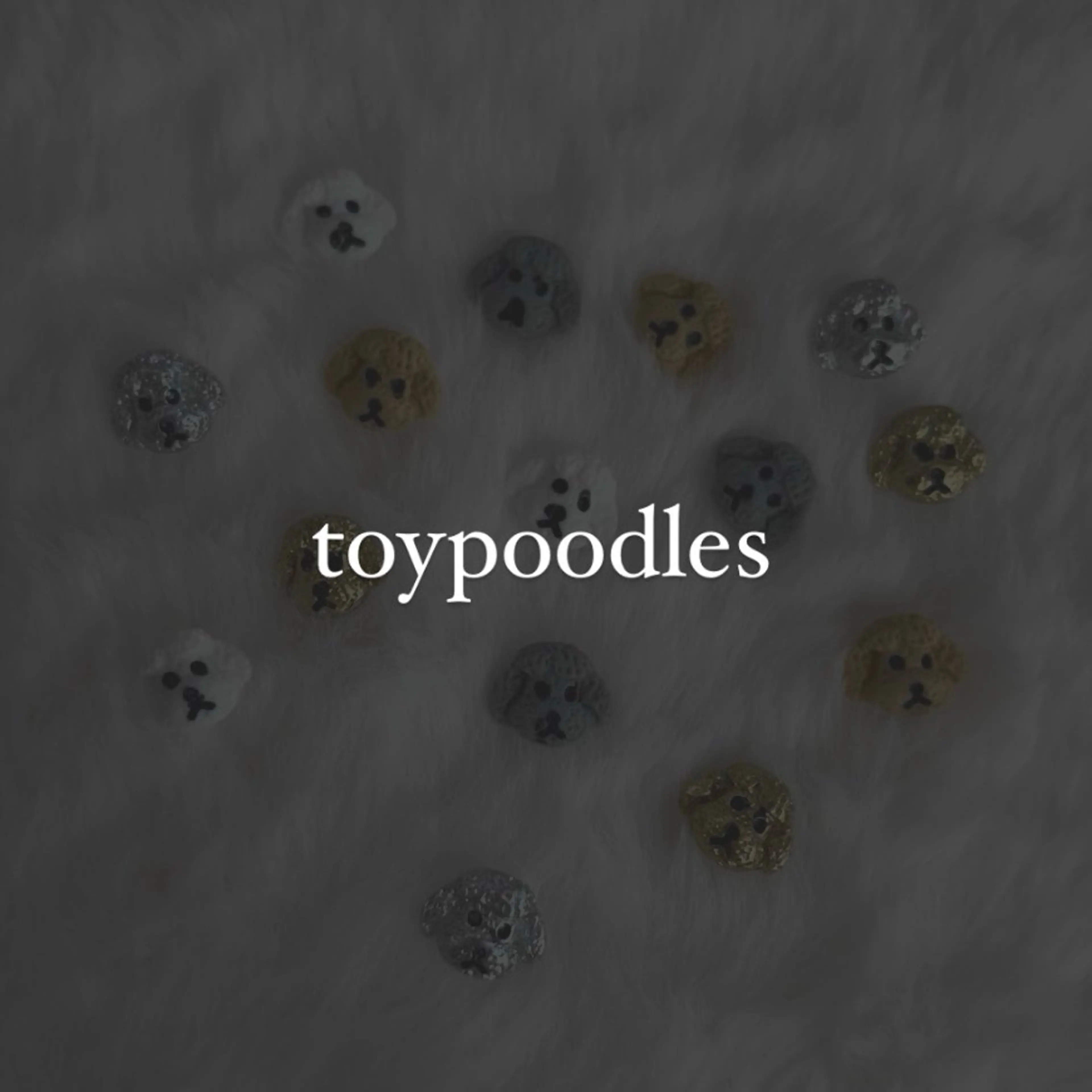 foi所属・【foi】 natsumi🌼のその他イメージ