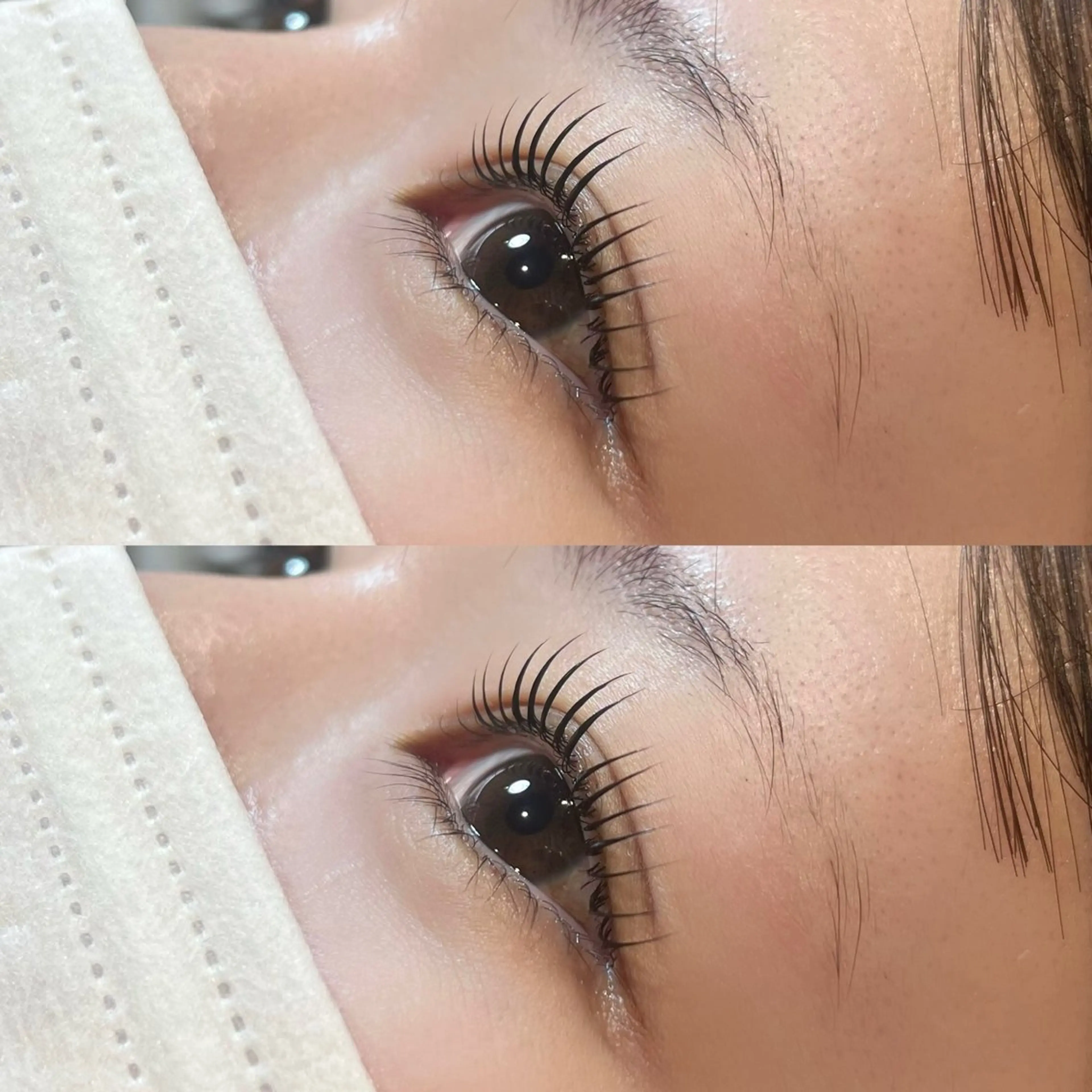 マツエク・マツパ 𝒆𝒊𝒈𝒉𝒕 杏花のマツエク・マツパデザイン