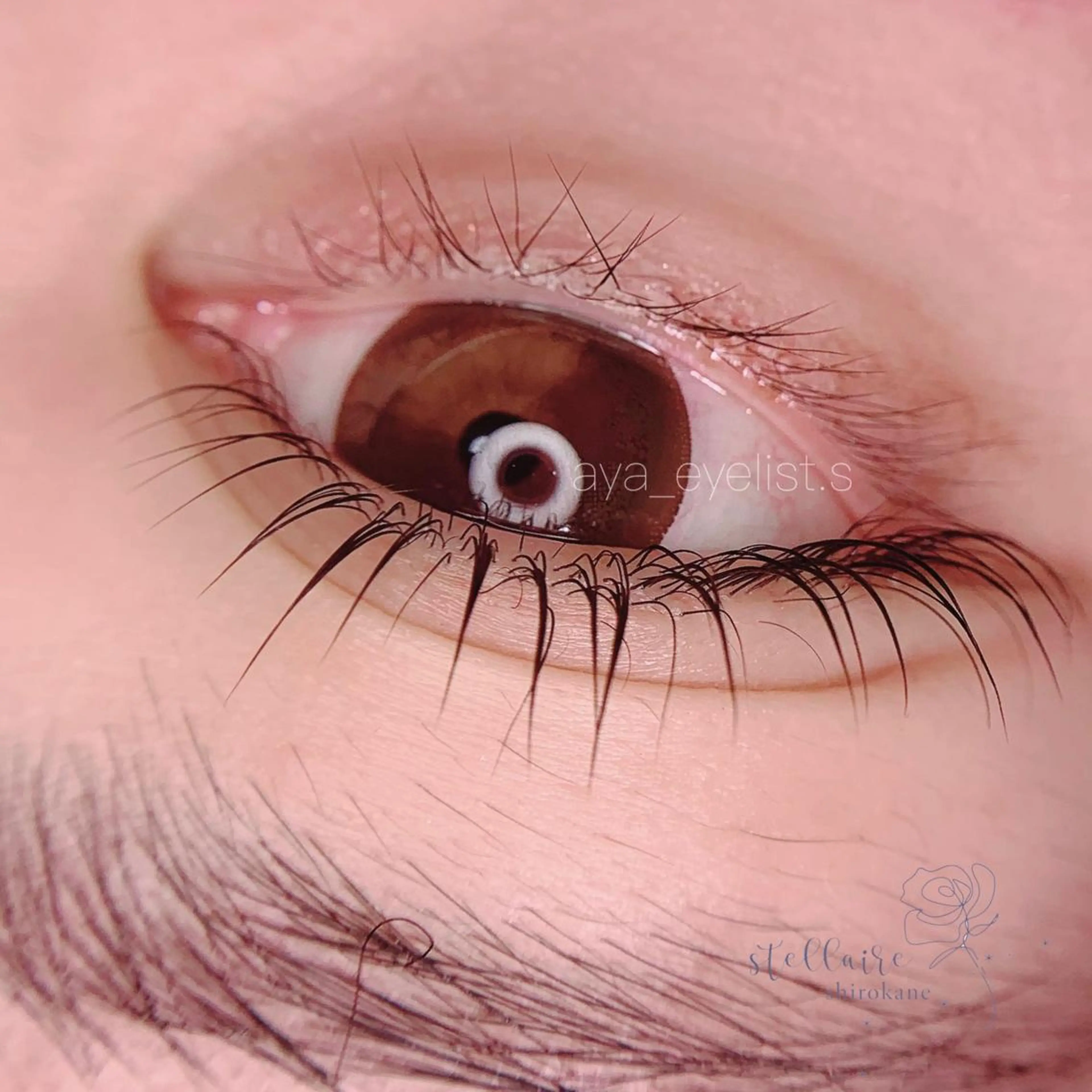 マツエク・マツパ バインドロック フラットラッシュ パリジェンヌラッシュリフト 下まつげエクステ 一重×まつ毛パーマ iny share salon原宿店【Raymy-eyelash.eyebrow】所属・Eyelist.s Ayaのマツエク・マツパデザイン