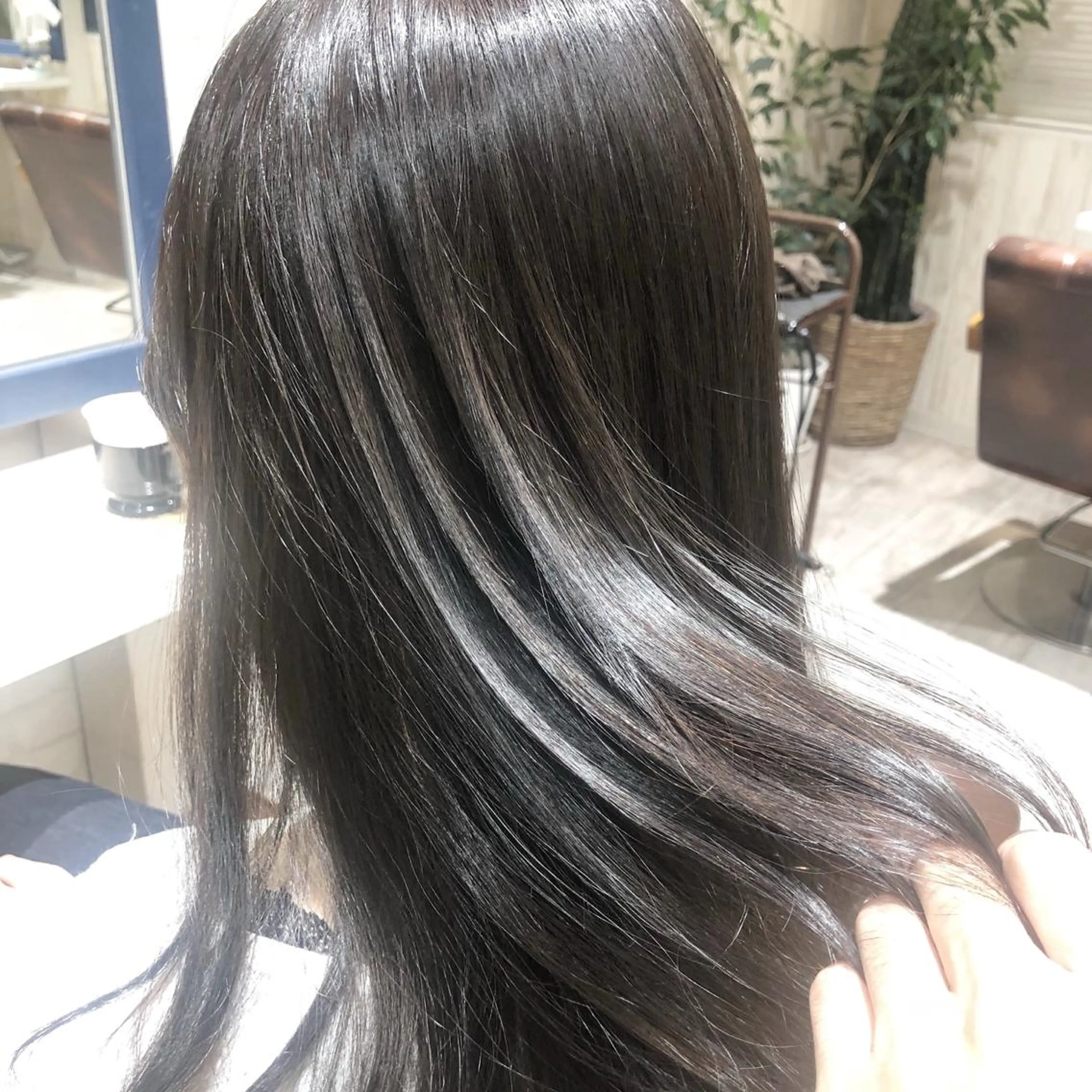 セミロング アッシュ 白井 聖人のヘアスタイル