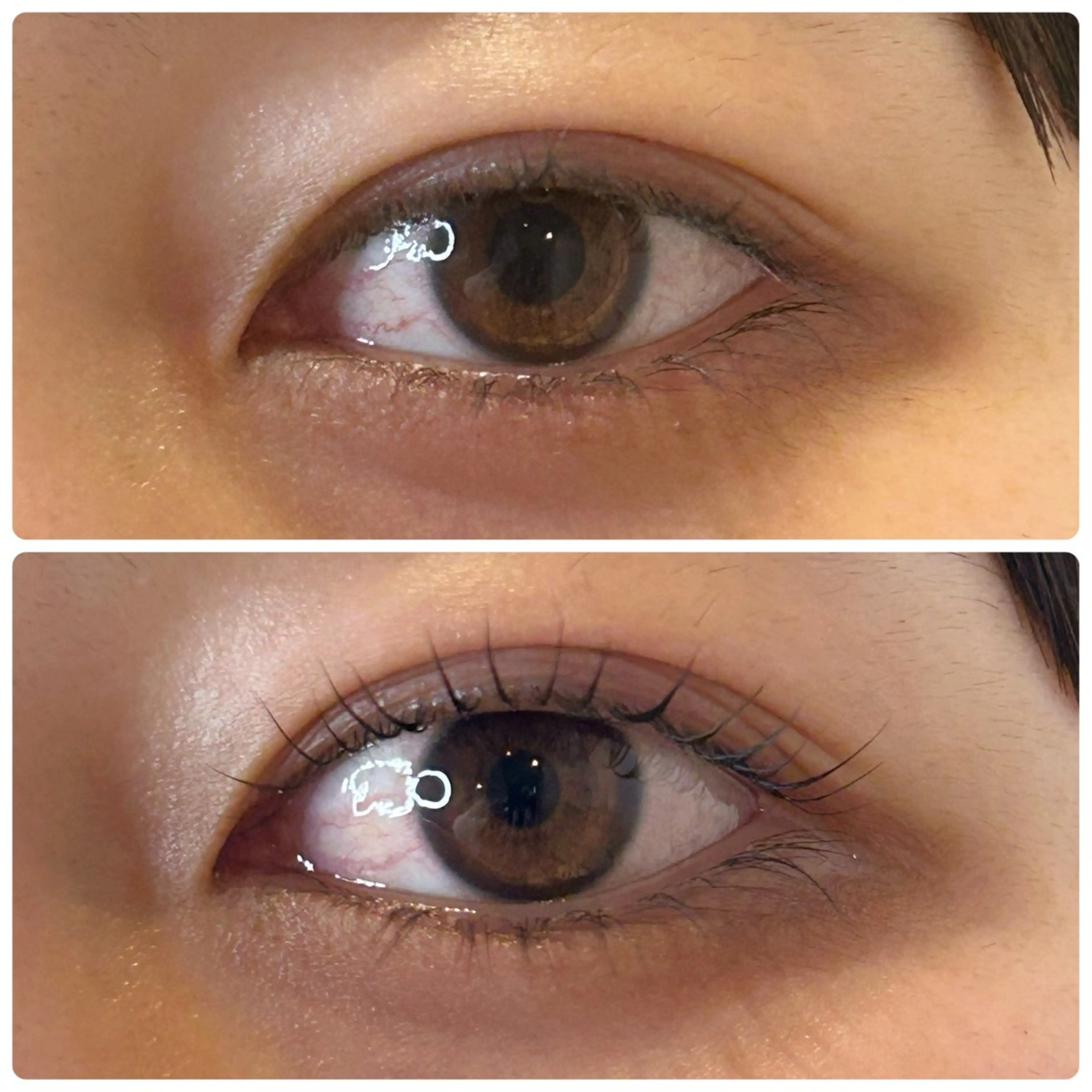 マツエク・マツパ 一重×まつ毛パーマ 細川 la beaux中津のマツエク・マツパデザイン