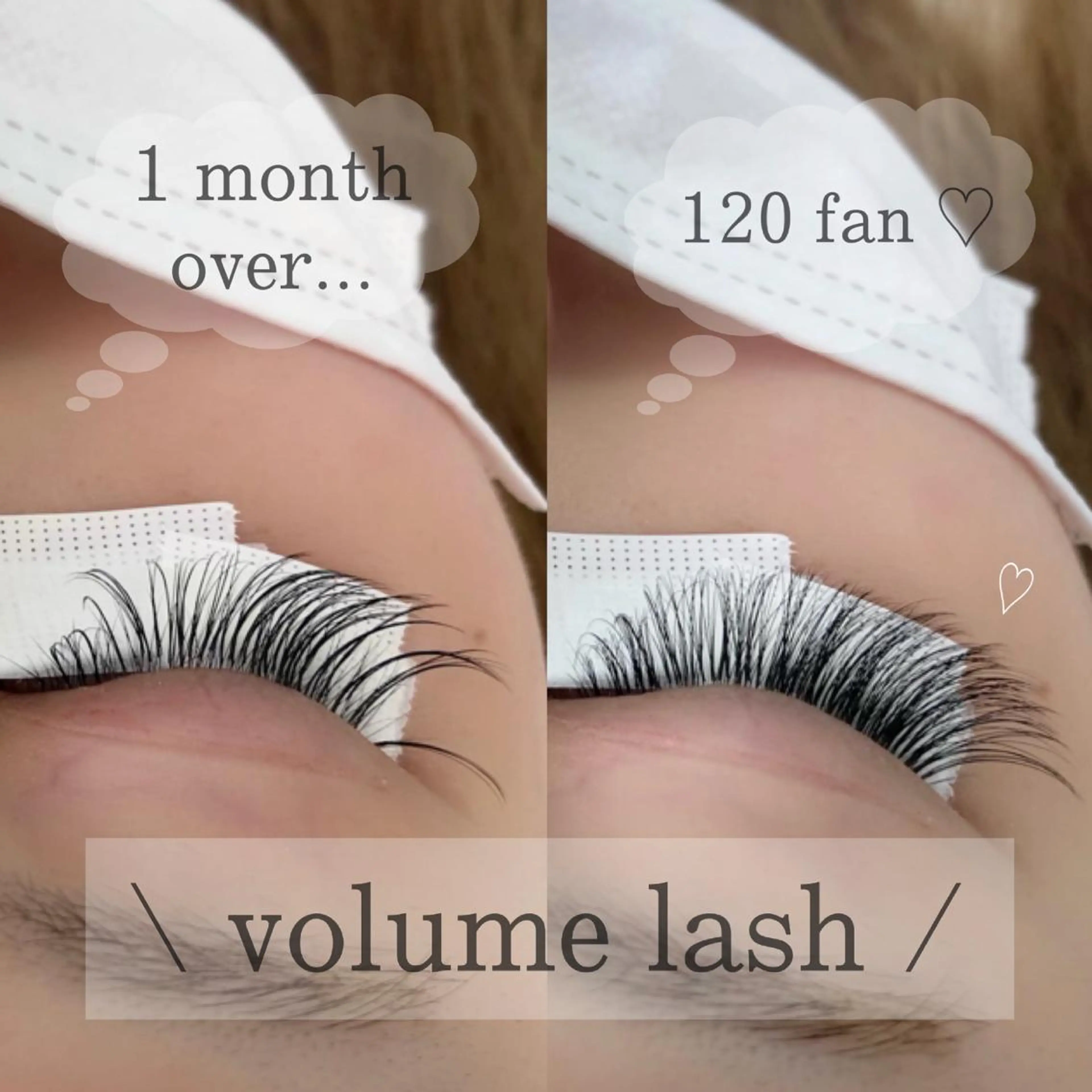 ボリュームラッシュ100束(3D)  5500円の写真