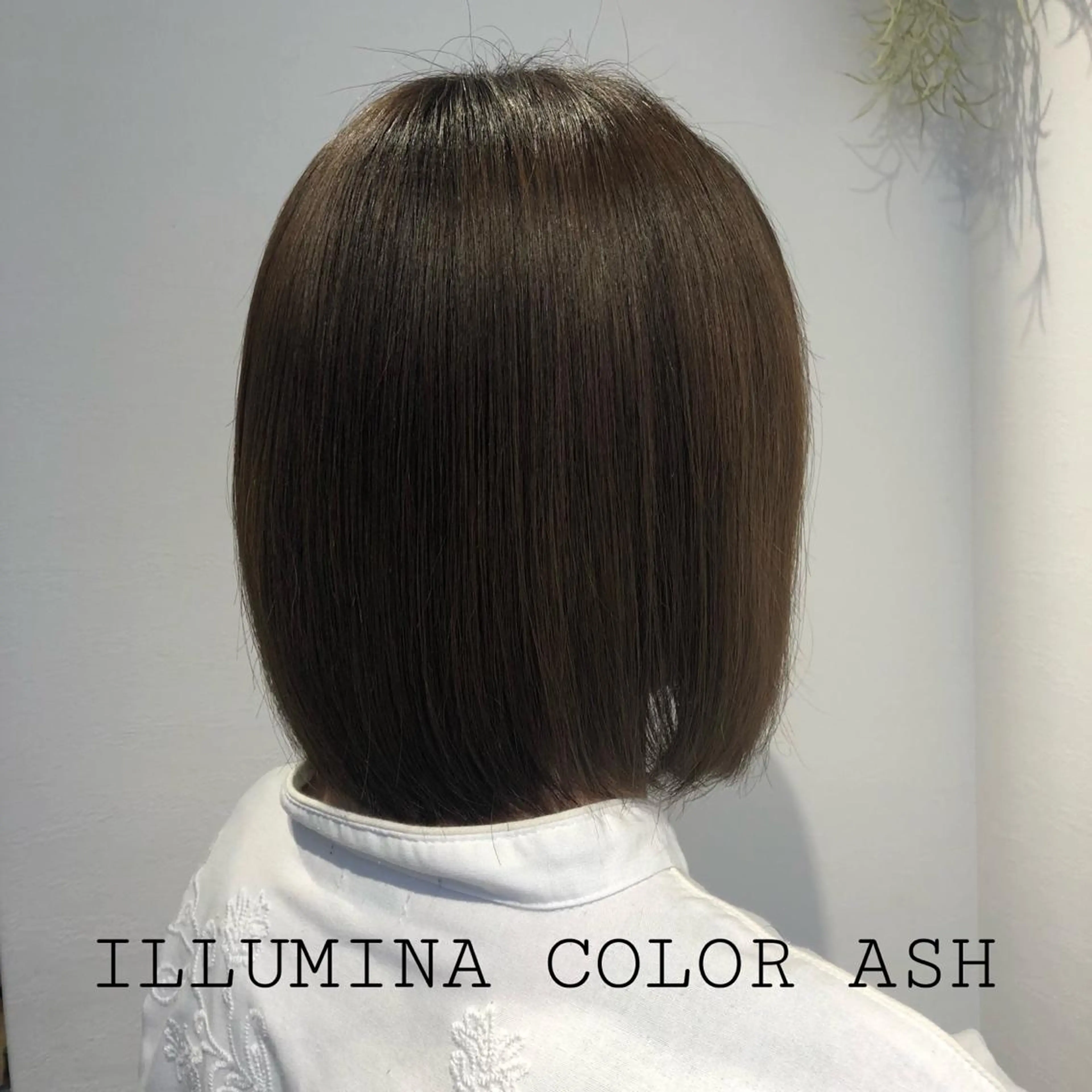 ミディアム カラー アッシュ ベージュカラー イルミナカラー ヘアカラー トリートメント 似合わせカラー✨人気 荻窪🌈川端風子のヘアスタイル