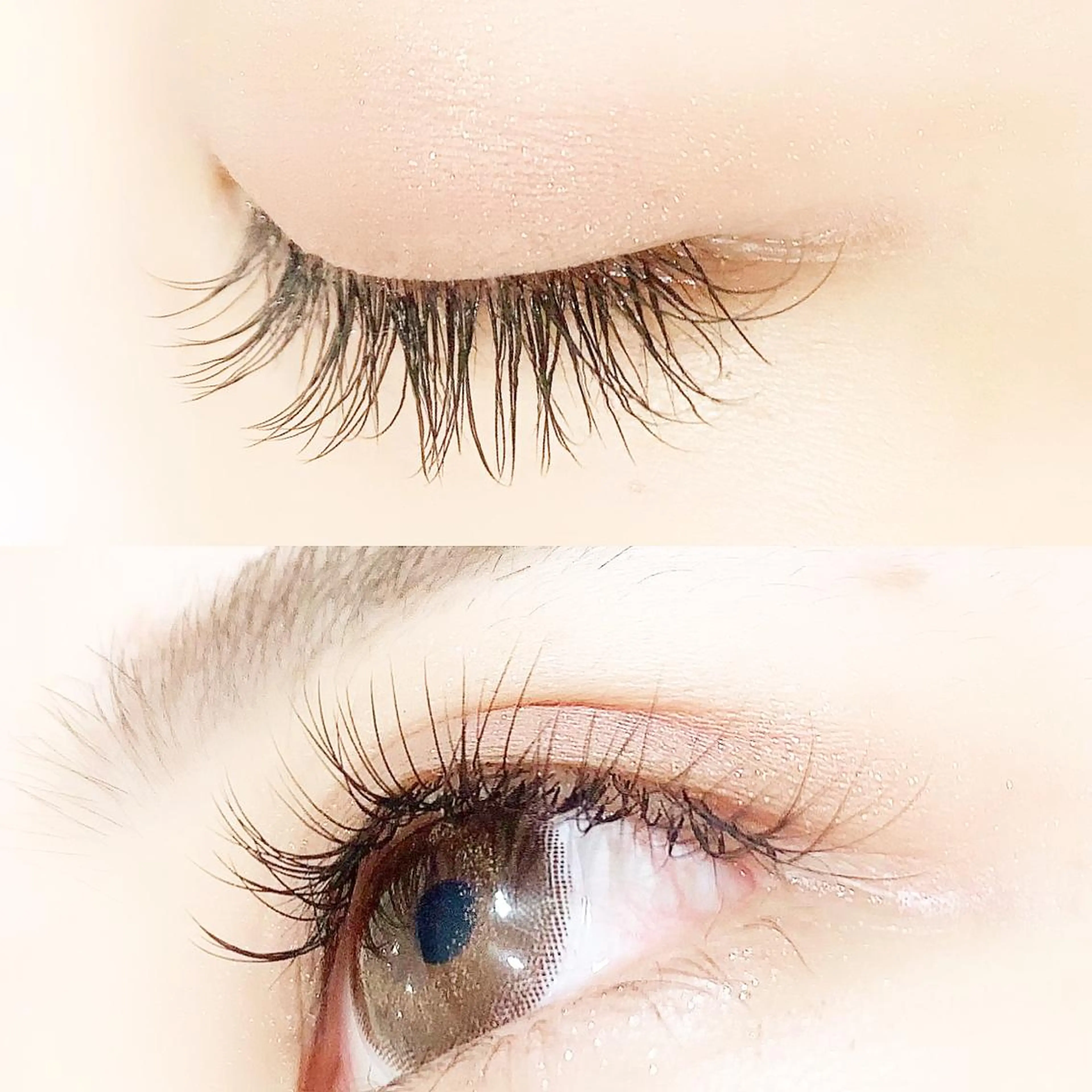 マツエク・マツパ Dカール ナチュラル セーブル Lanhr所属・【Lanhr】 🕊aya🕊のマツエク・マツパデザイン