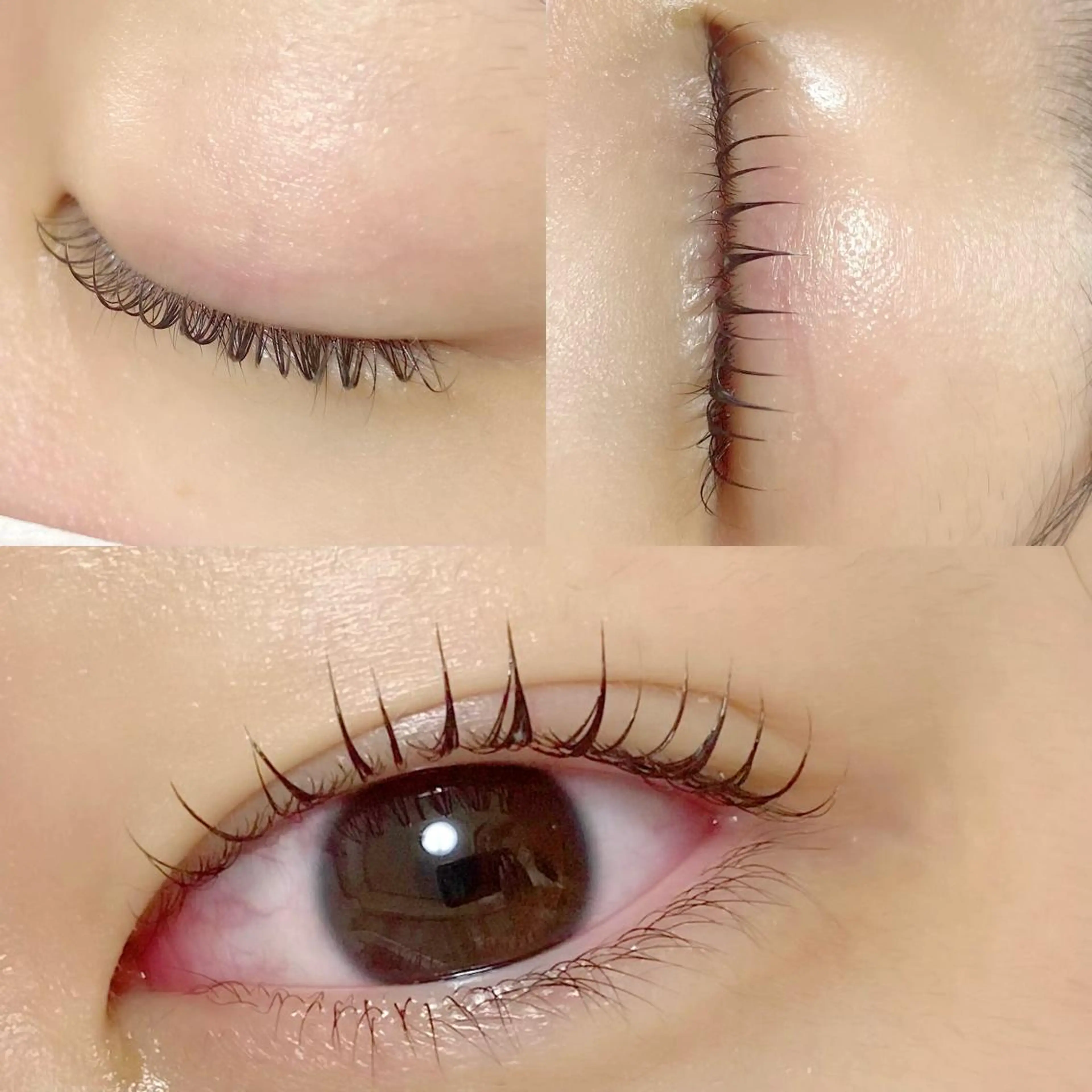 マツエク・マツパ 【那覇/束感まつ毛】 キャメルのマツエク・マツパデザイン