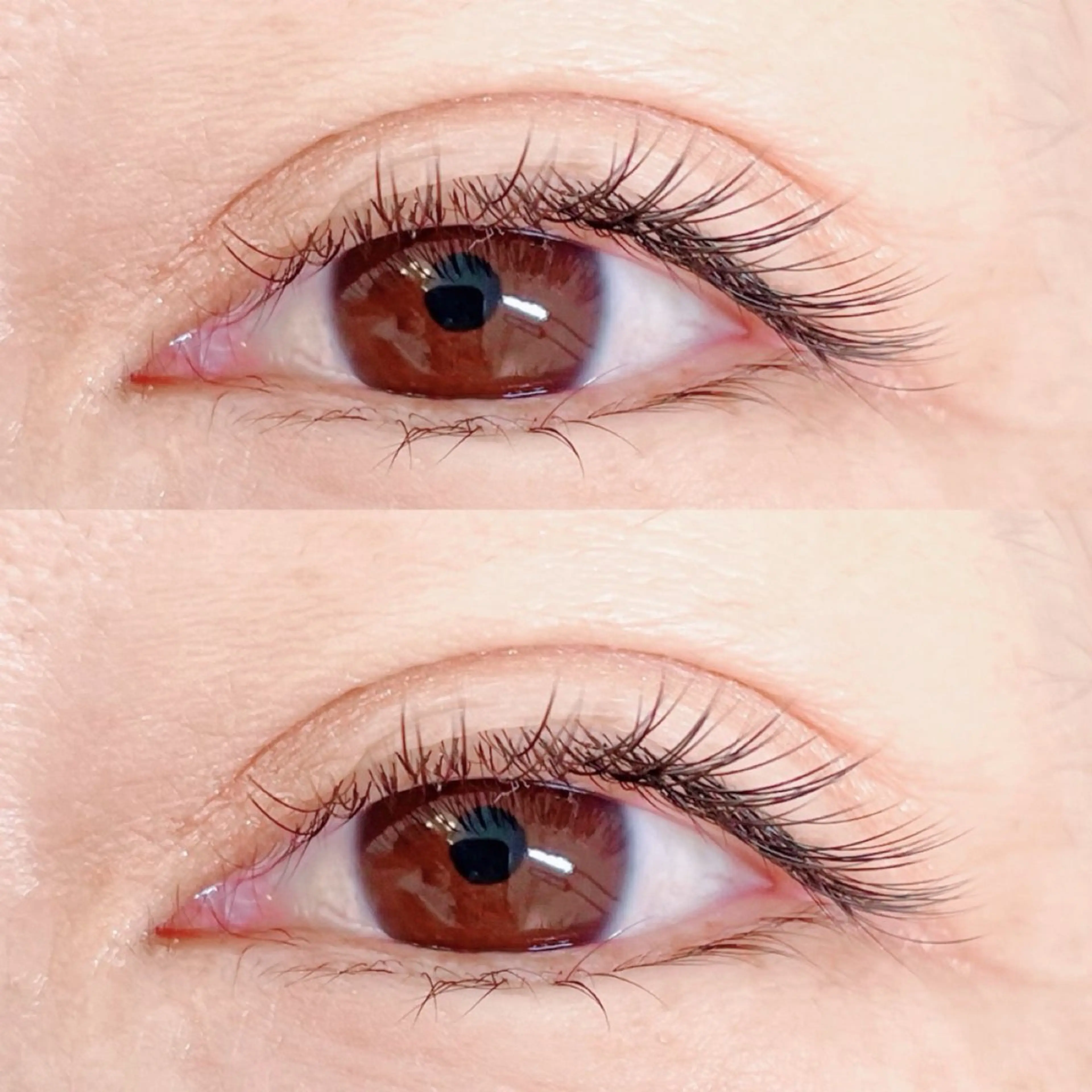 マツエク・マツパ stella eyelash所属・stella eyelashのマツエク・マツパデザイン