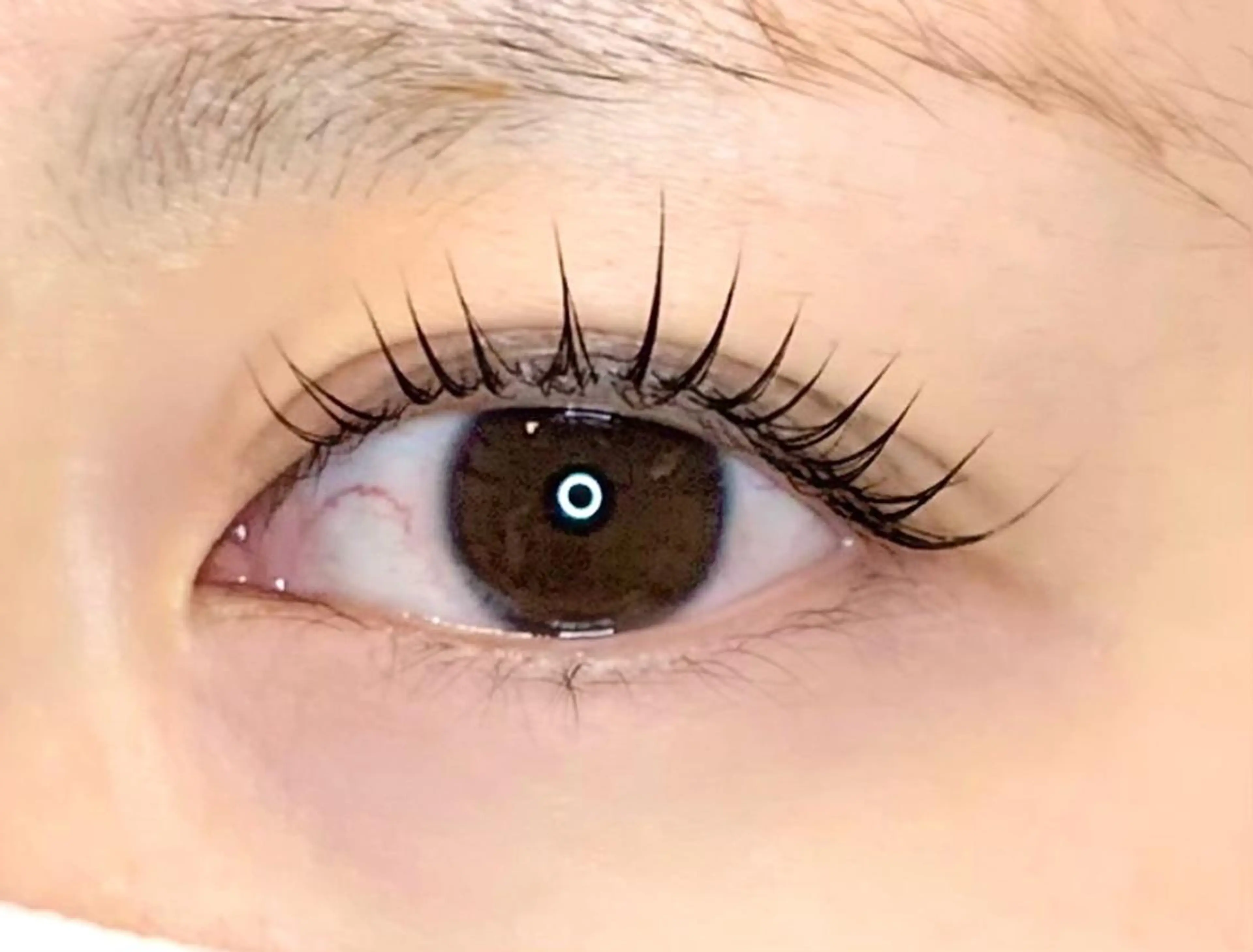 マツエク・マツパ beauty salon EL所属・beauty salon ELのマツエク・マツパデザイン