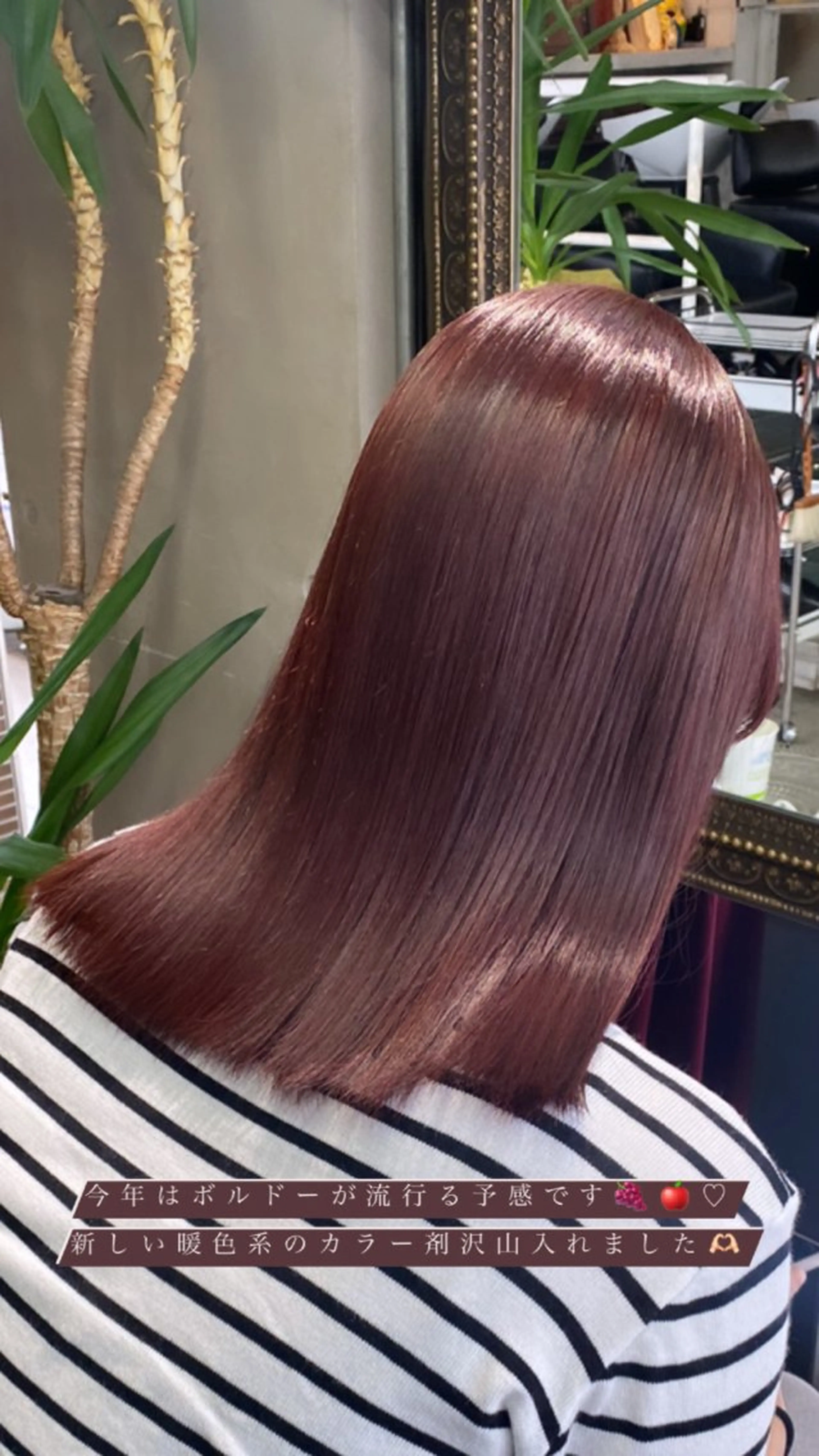 ミディアム ヘアカラー トリートメント 韓国レイヤー/透明感 カラー🦋mioのヘアスタイル