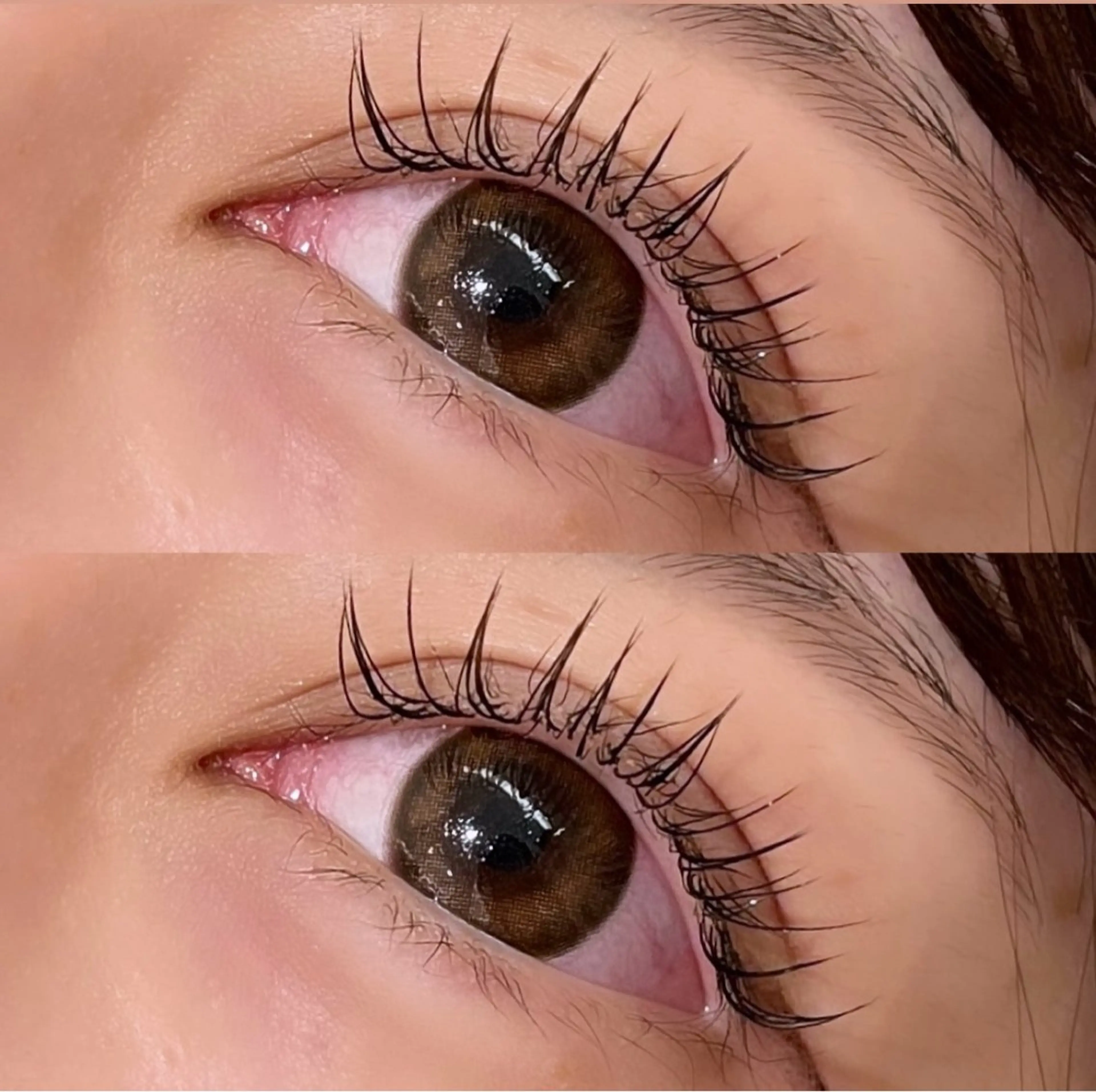 マツエク・マツパ Cカール セーブル Cils by une fleur所属・unefleur 𝑺𝑯𝑰𝑶💕のマツエク・マツパデザイン