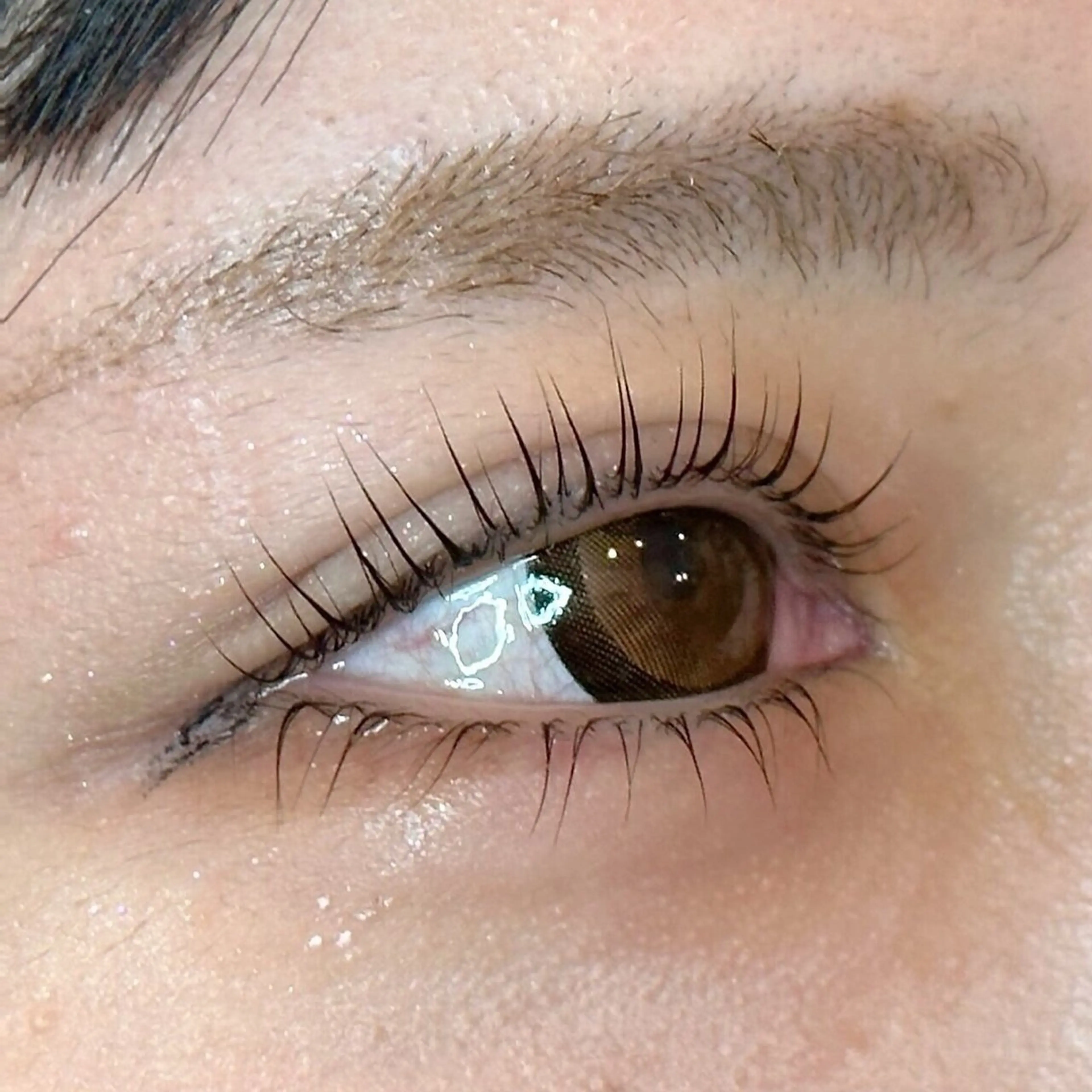 マツエク・マツパ Moana　eyelash by HEADLIGHT 武蔵小杉店所属・momoka .⋆𝜗𝜚の眉毛・アイブロウイメージ