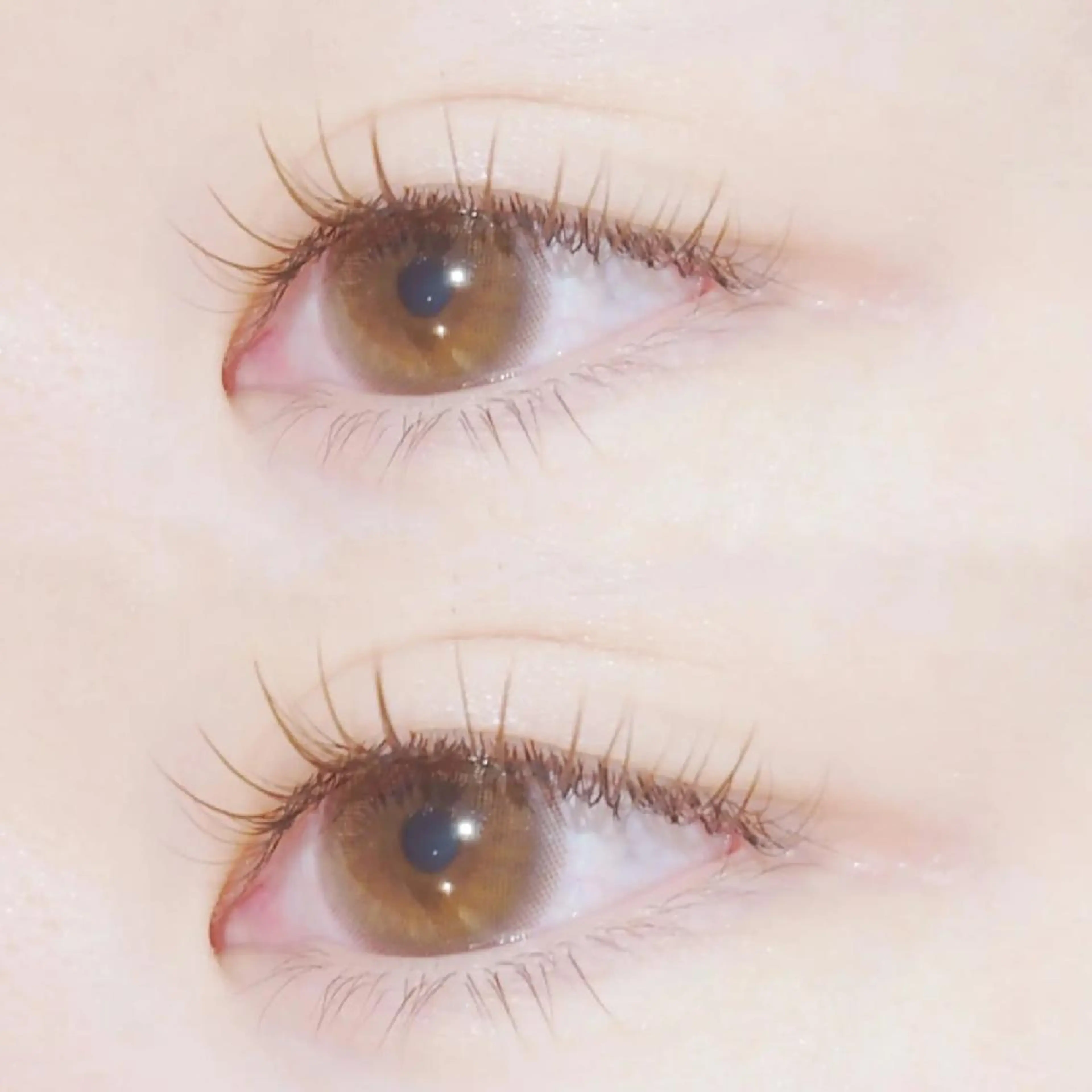 LEDマツエク100本（オフ込）プラス料金で本数増やせます　⚠️必ず補足説明お読みくださいの写真