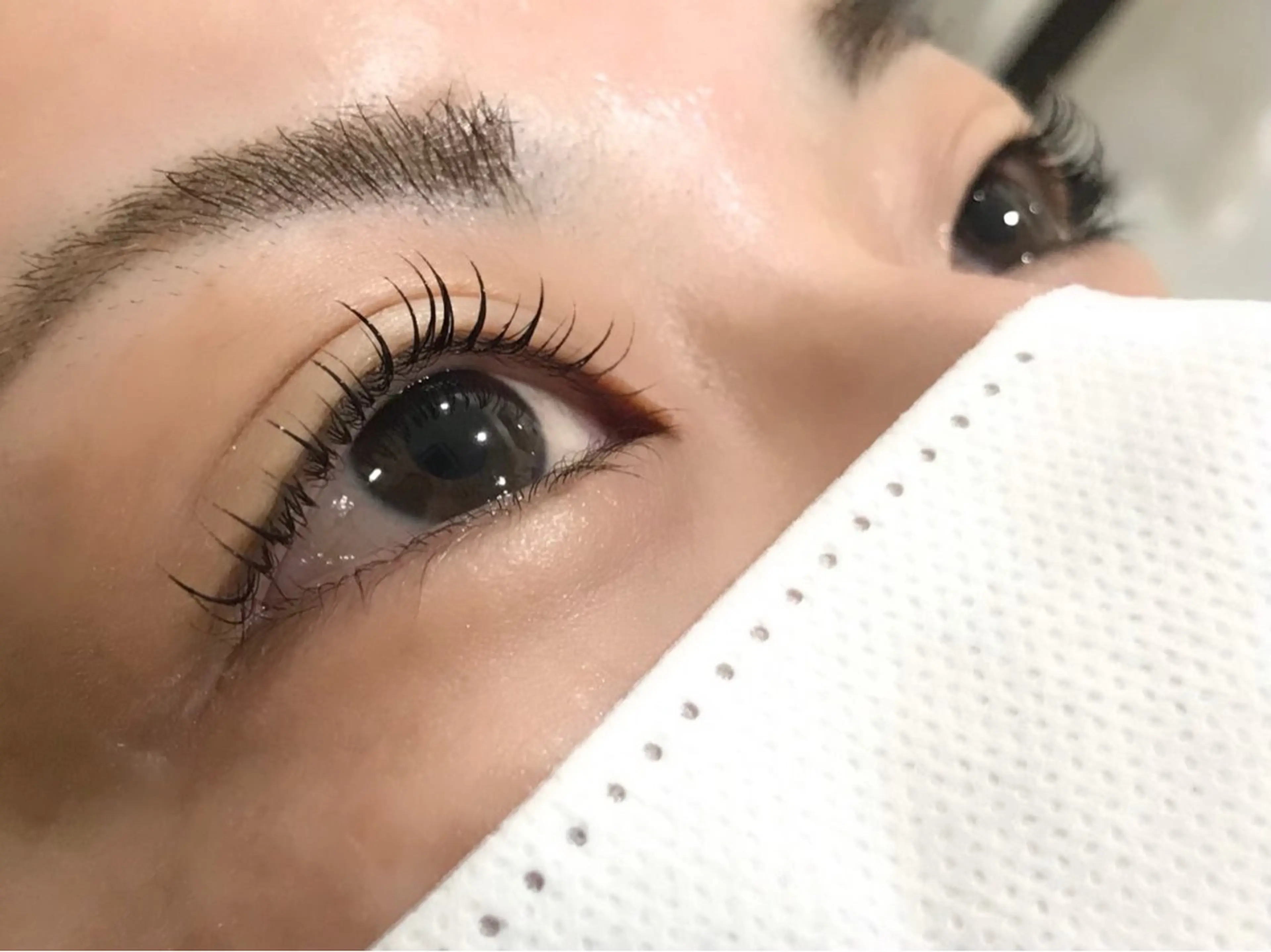 ご新規様限定👼韓国風まつ毛パーマ+集中ケアトリートメント🦄束感仕上コーティング付2700円の写真