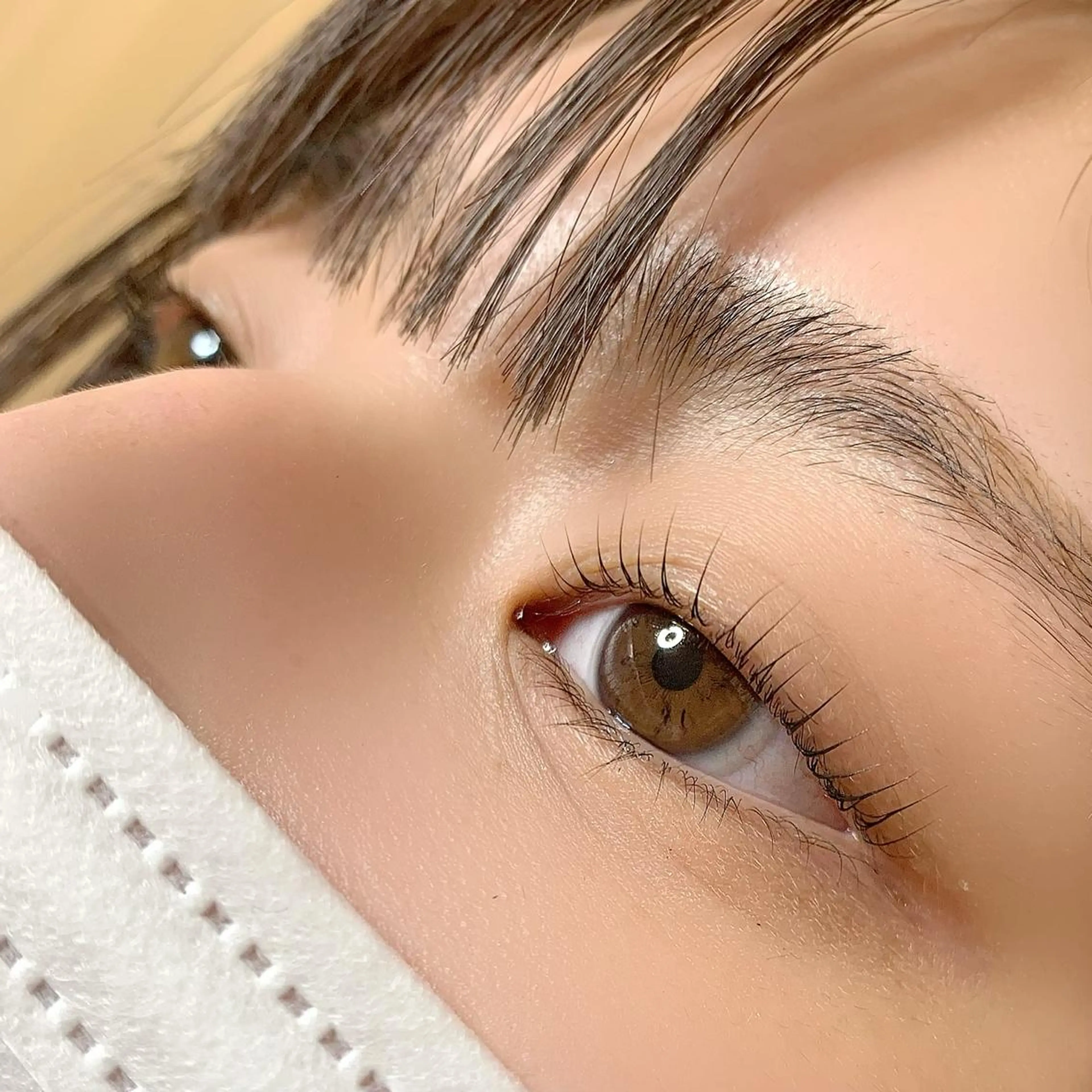 マツエク・マツパ まつげパーマ AYLASH石川 韓国風/カラエクのマツエク・マツパデザイン