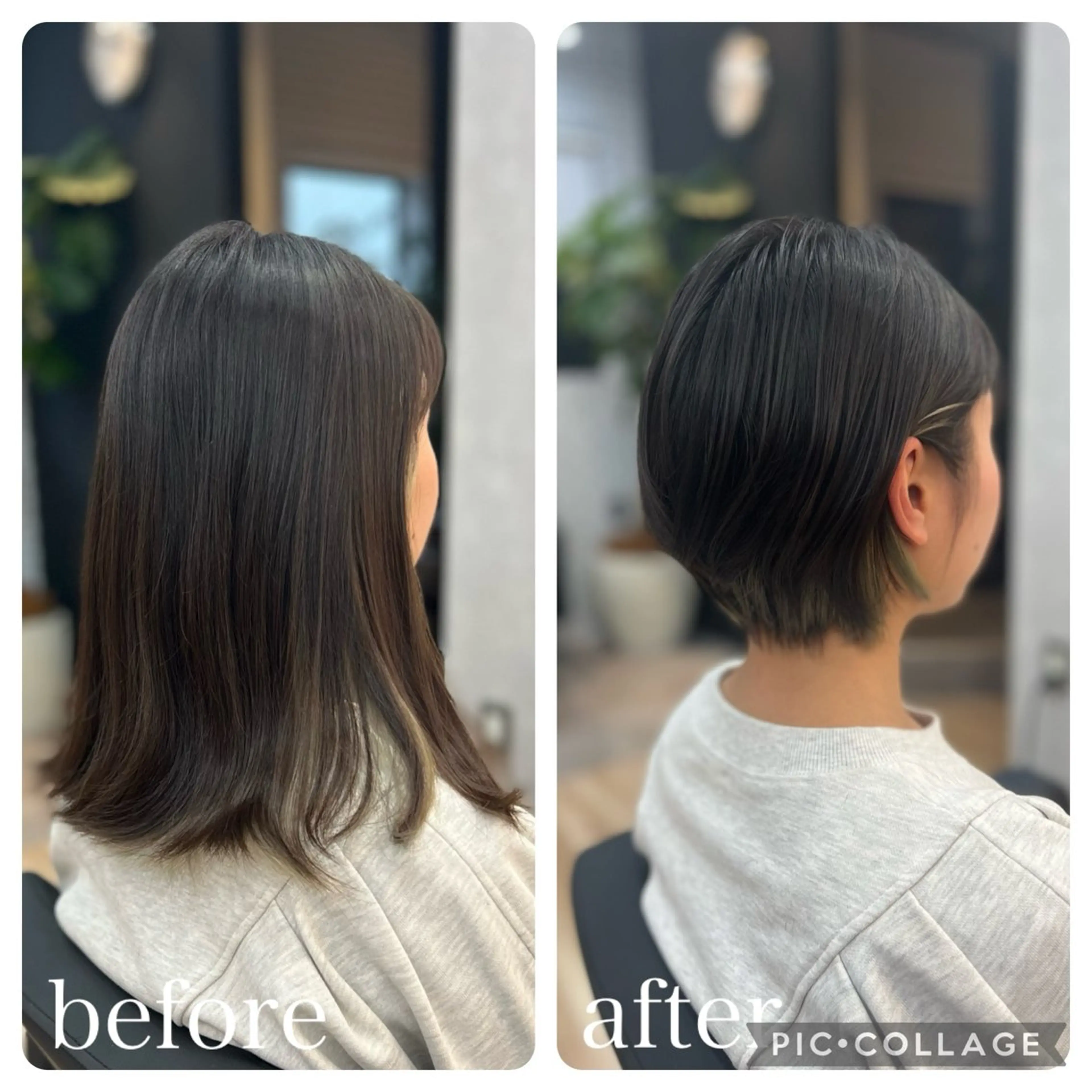 ミニモ限定　レディースカットの写真