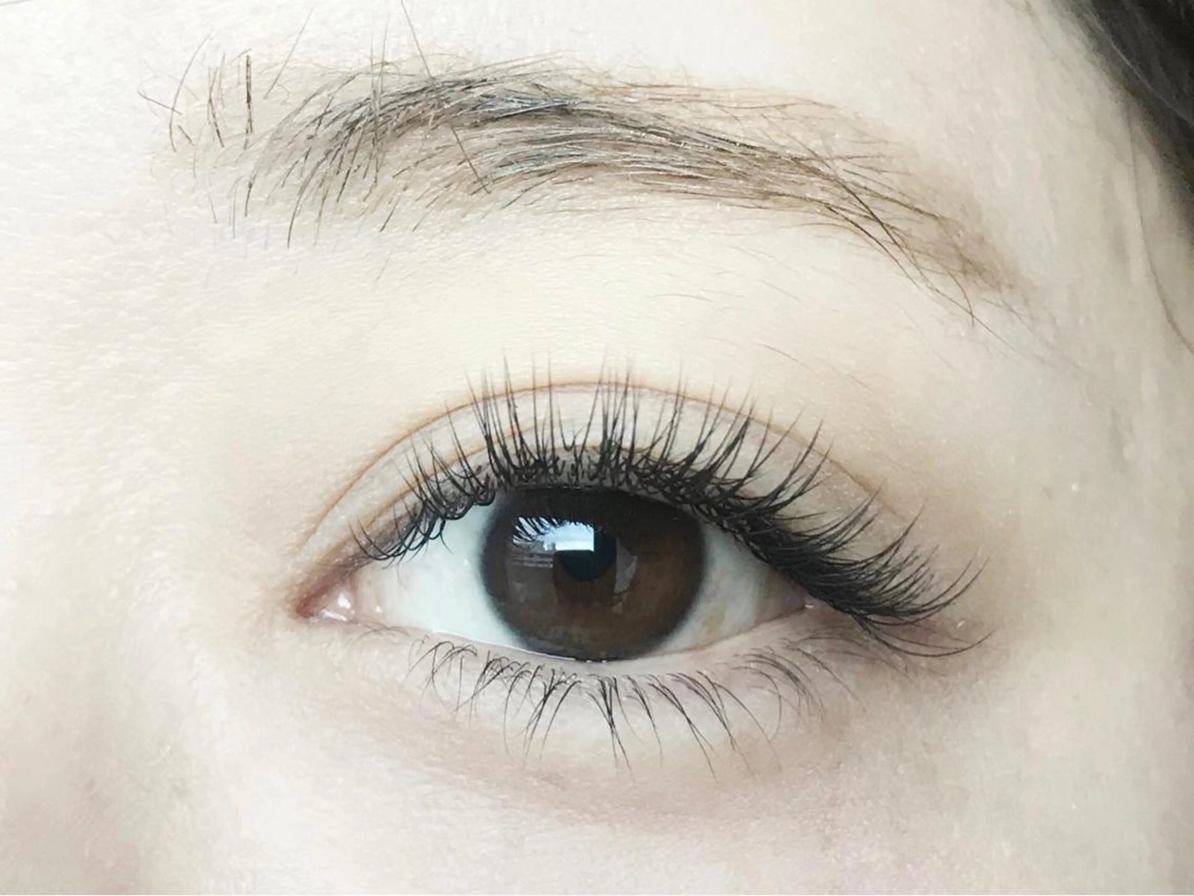 マツエク・マツパ ｍｉｐｐｙ 🪽のマツエク・マツパデザイン