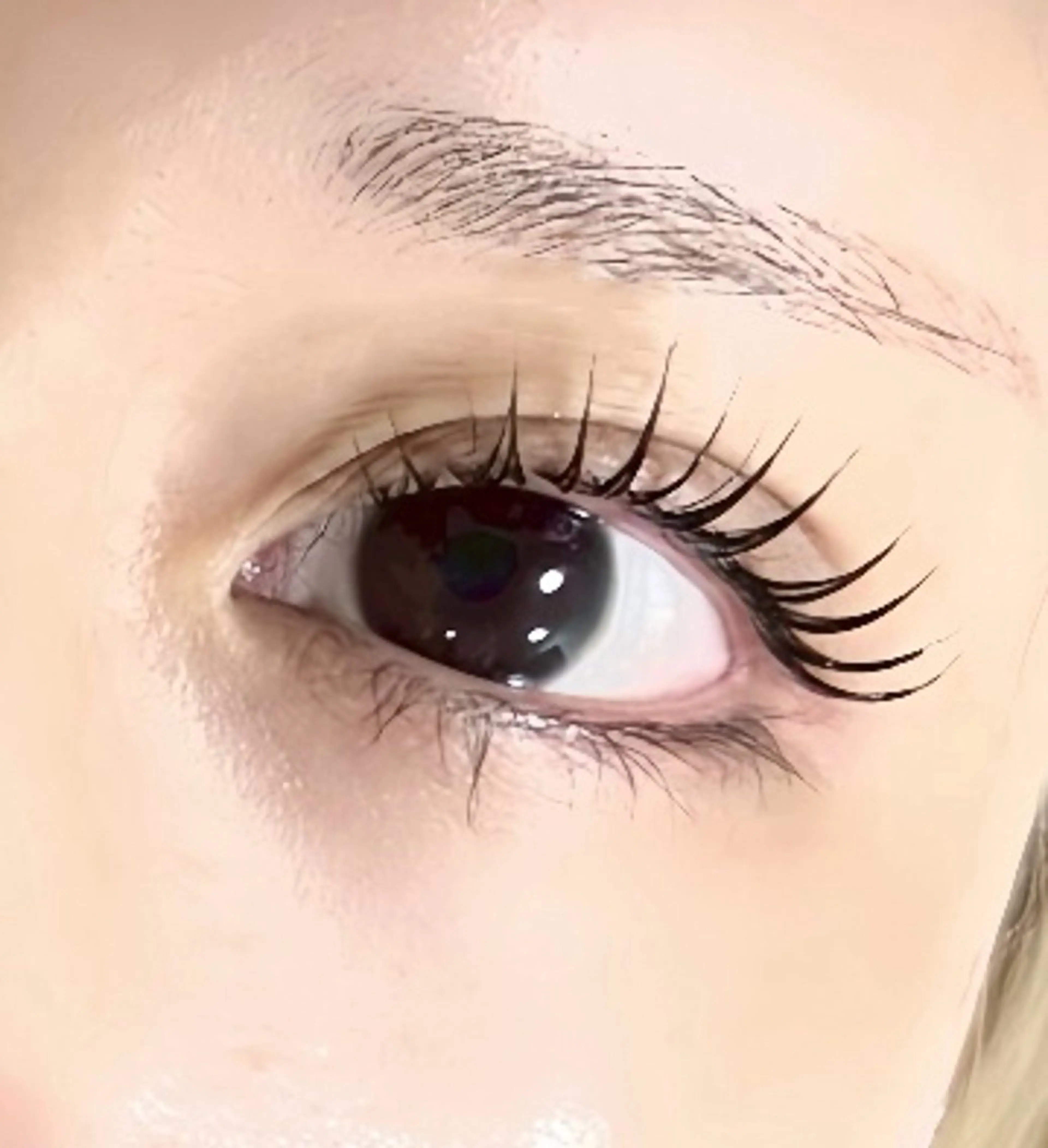 【まつ毛パーマ🌙ダウン×ラッシュ】メーテルラッシュの写真