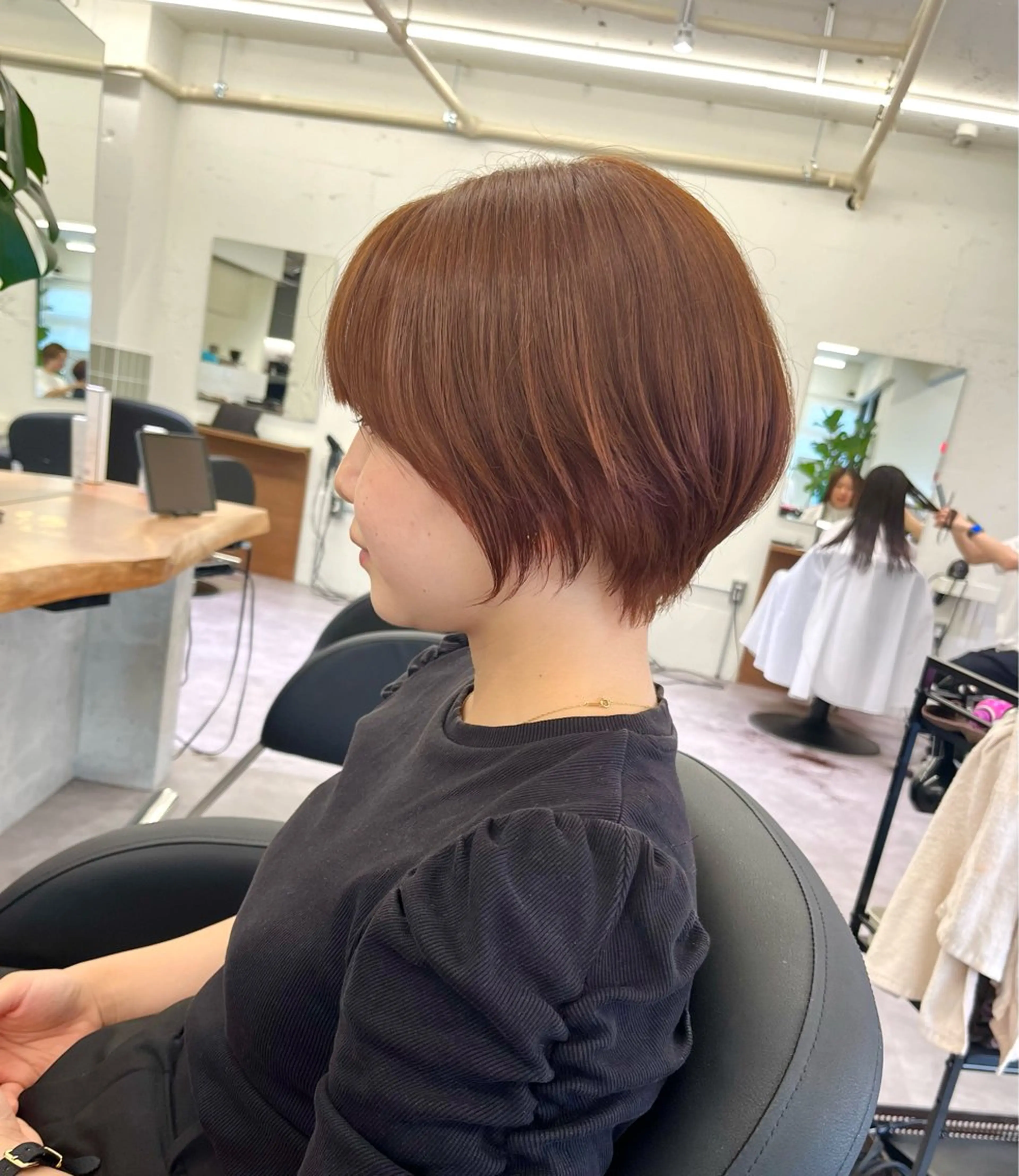 平日ミニモ限定⭐️カット+全体カラー+バイカルテトリートメントの写真