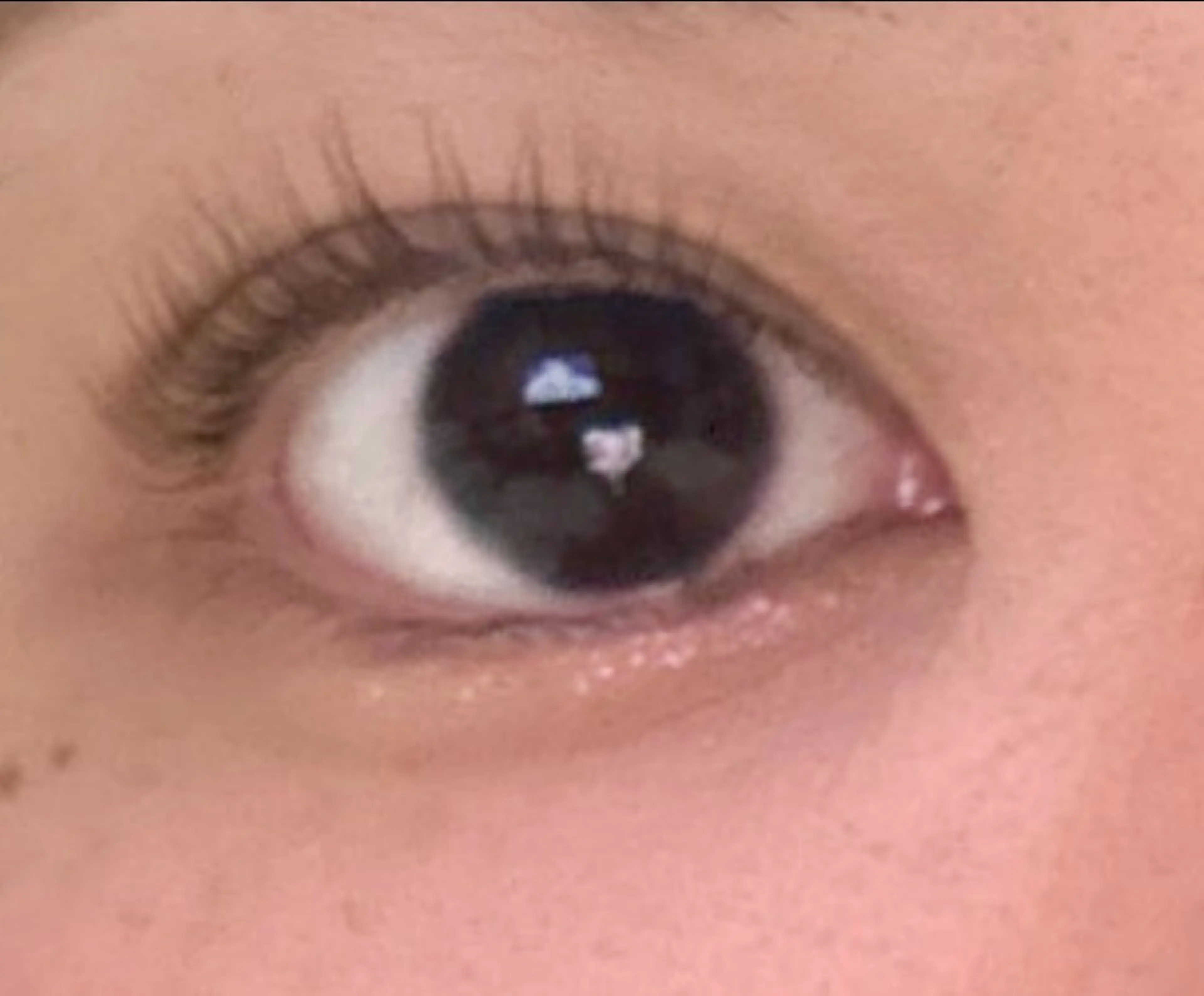 マツエク・マツパ サロンブルー あやこのマツエク・マツパデザイン