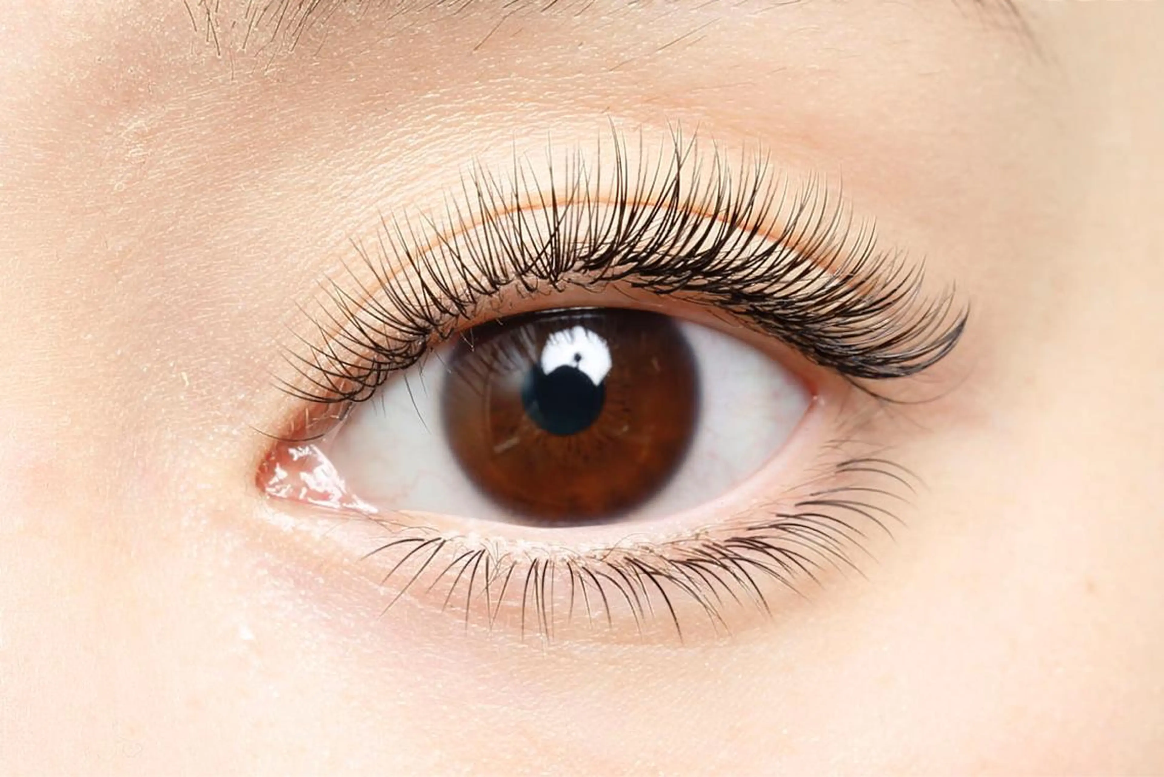 マツエク・マツパ アイブロウワックス モデル募集の眉毛・アイブロウイメージ