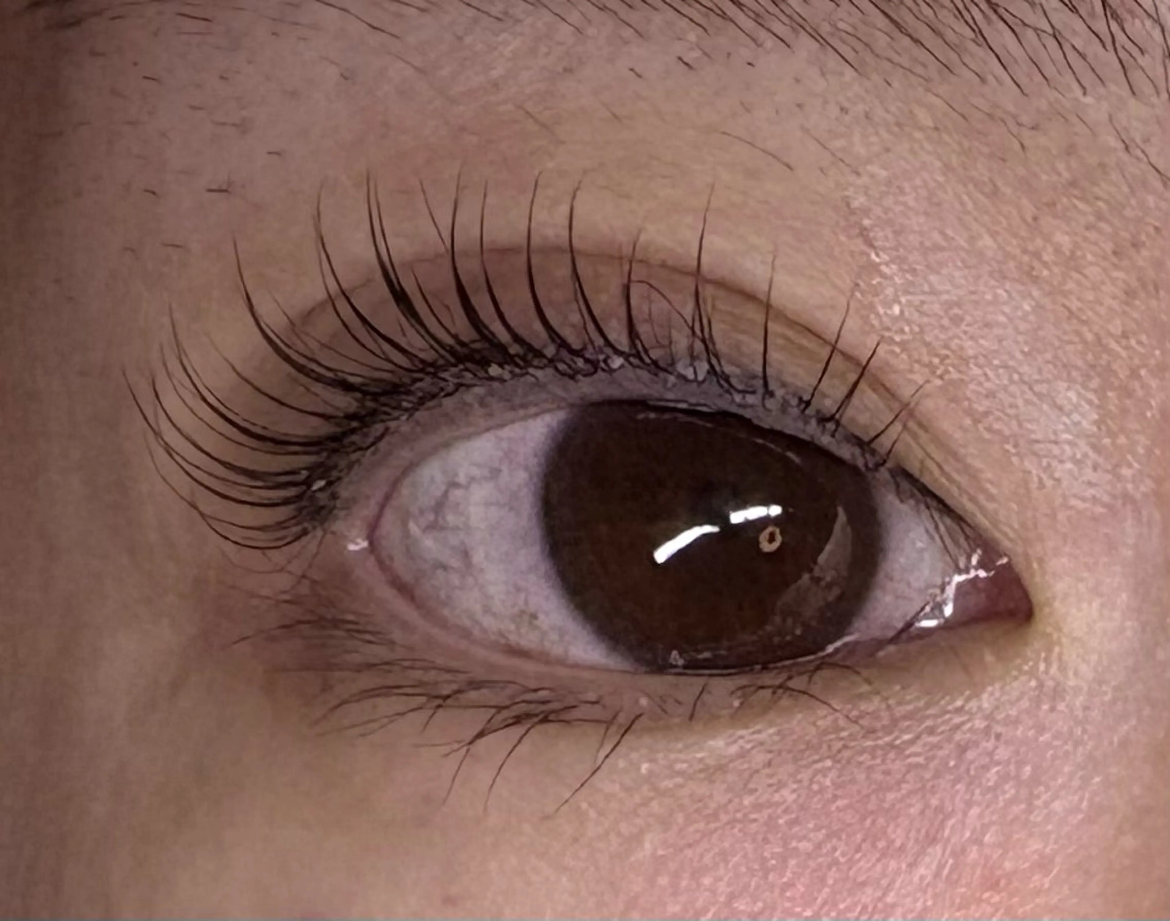 マツエク・マツパ トータルビューティー サロン・Ｎの眉毛・アイブロウイメージ