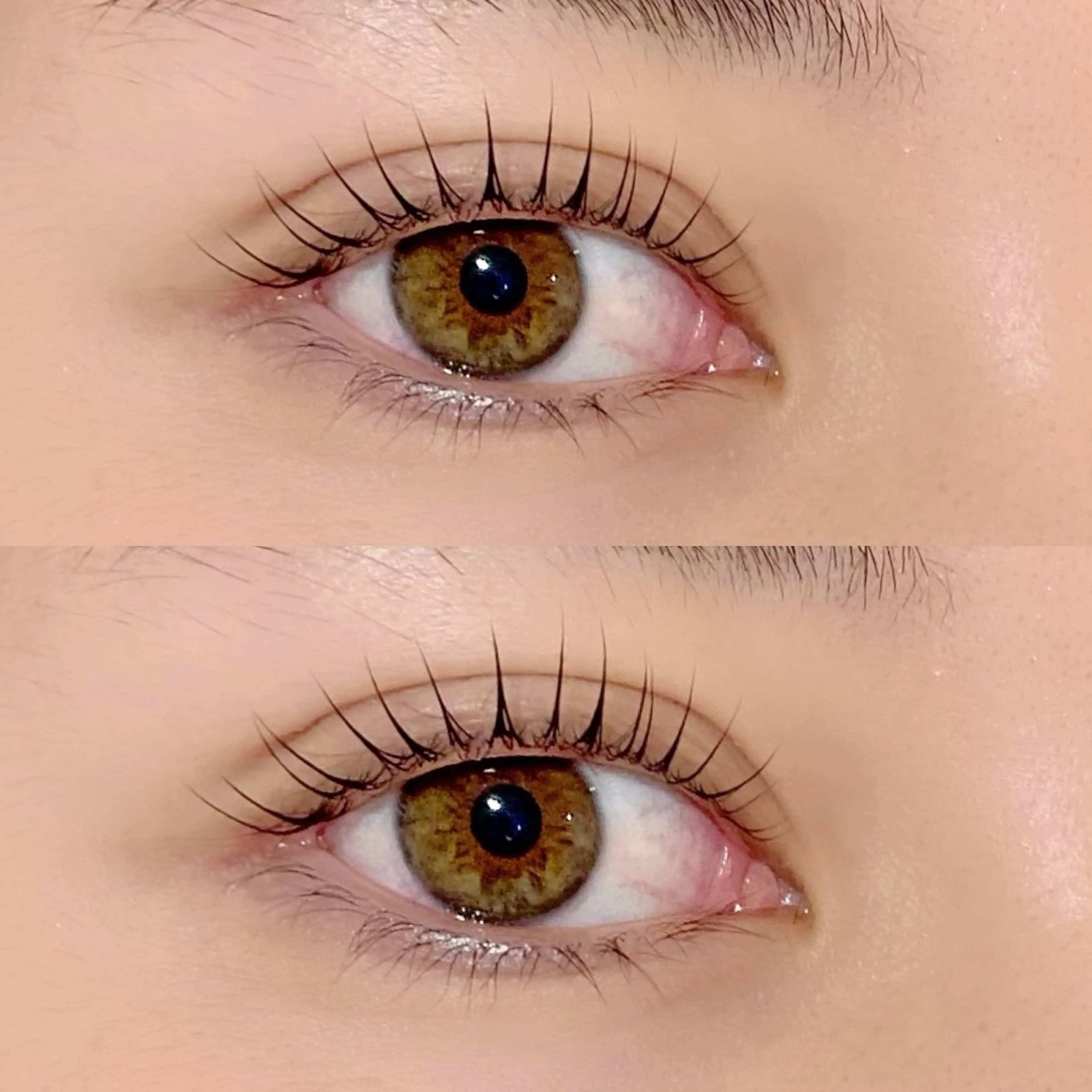 🌷まつ毛パーマ🌷の写真